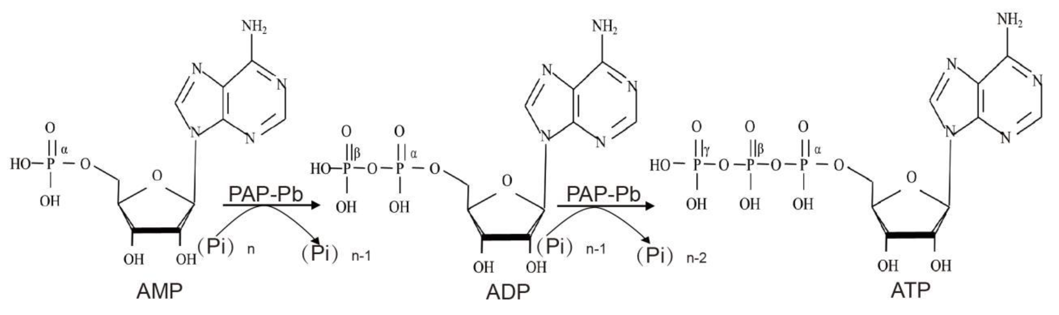 Biomolecules 12 00139 g001