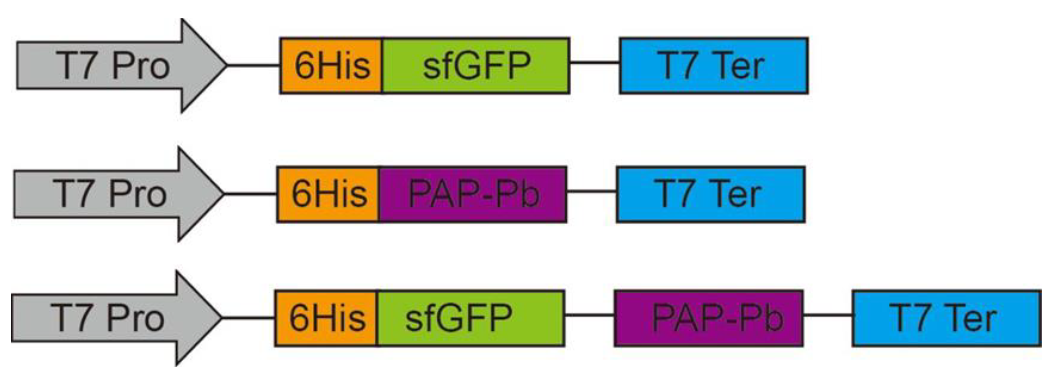 Biomolecules 12 00139 g002