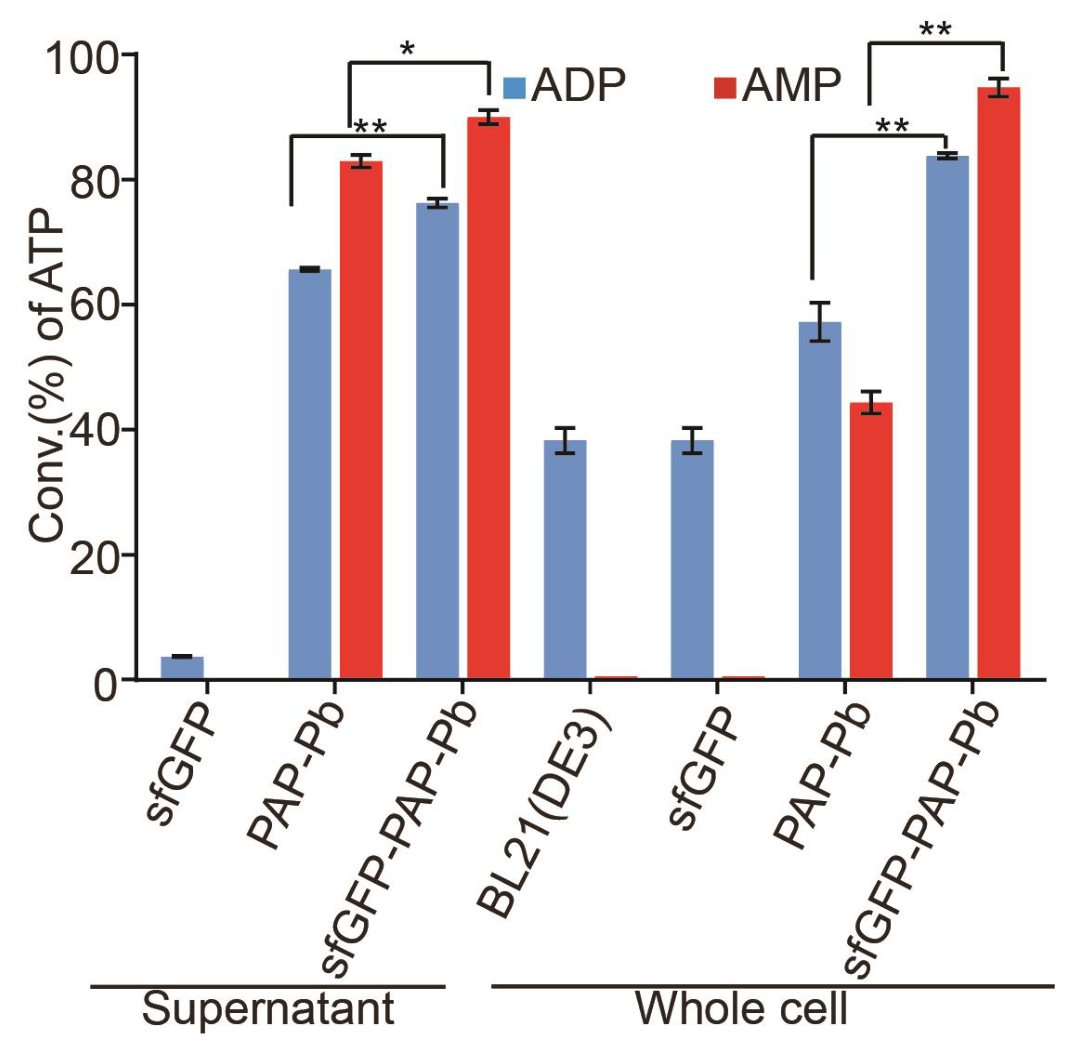 Biomolecules 12 00139 g004