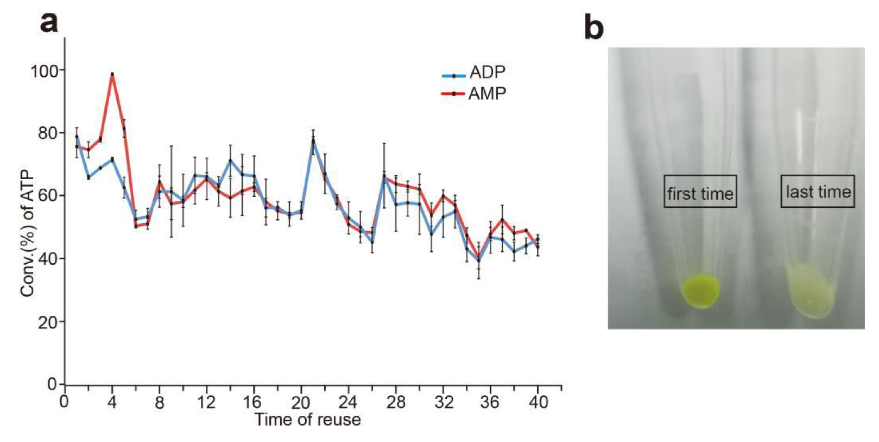Biomolecules 12 00139 g009