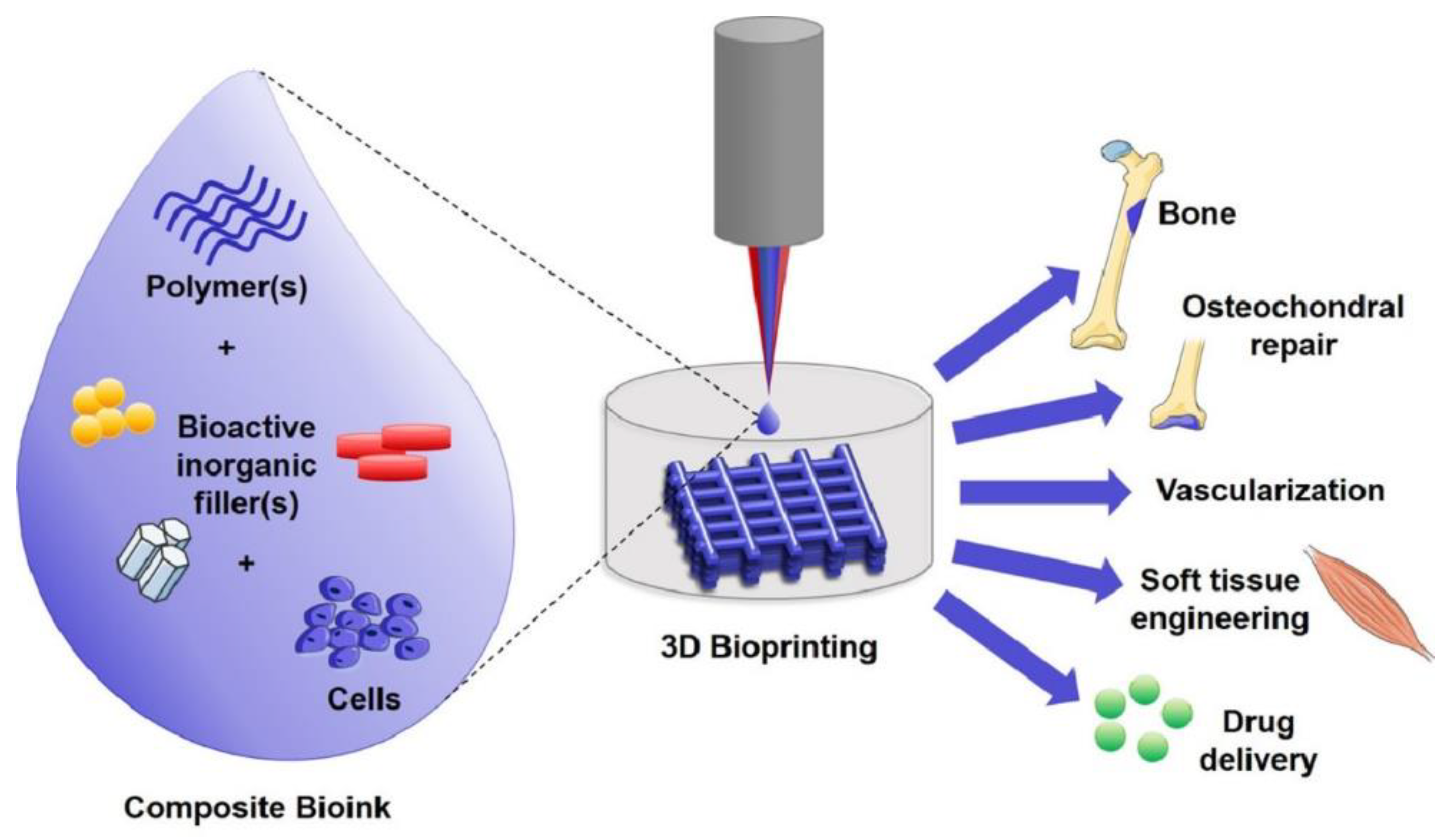 Biomolecules 12 00141 g001 550