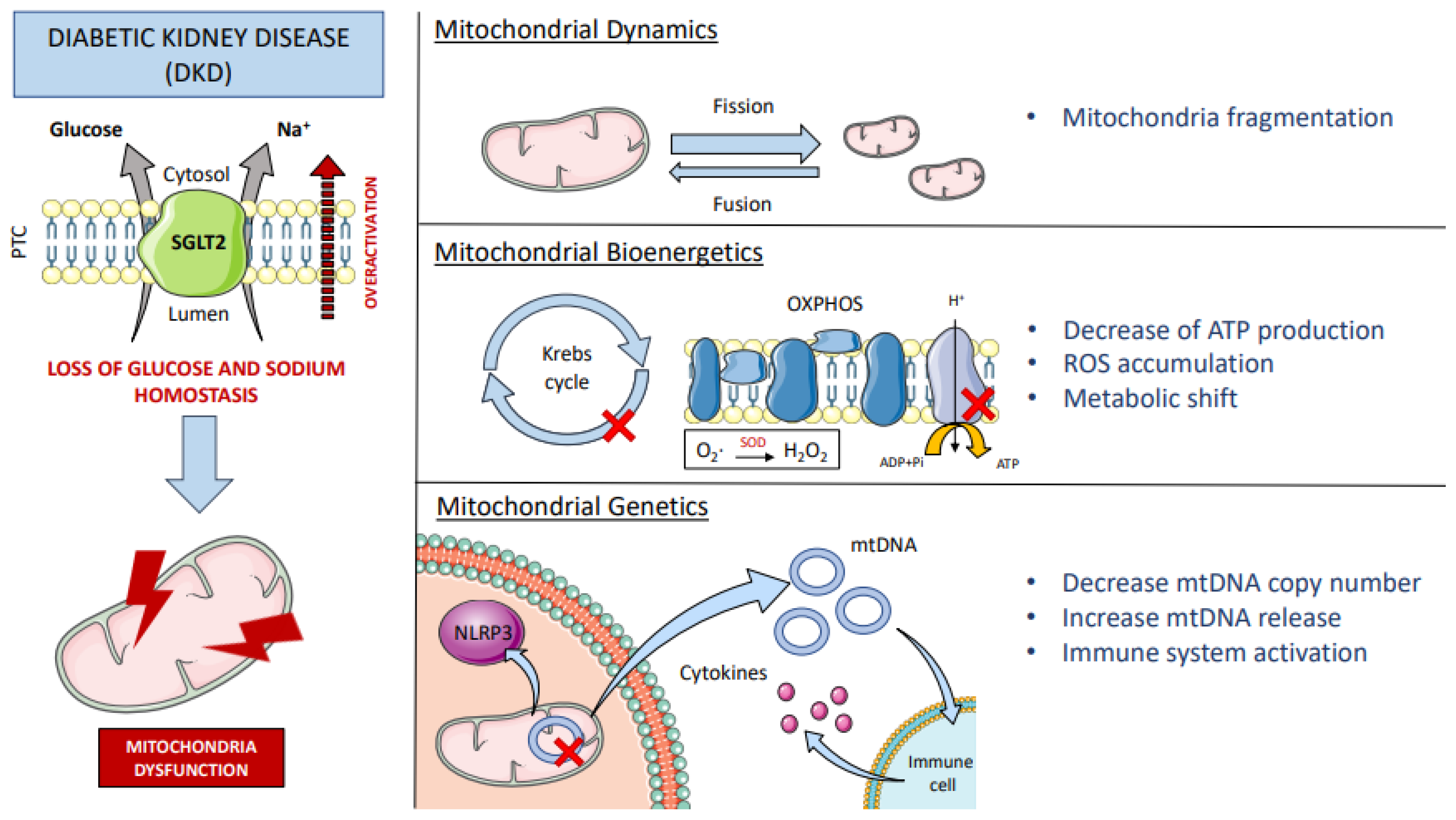 Biomolecules 12 00143 g002 Biomolecules 12 00143 g002