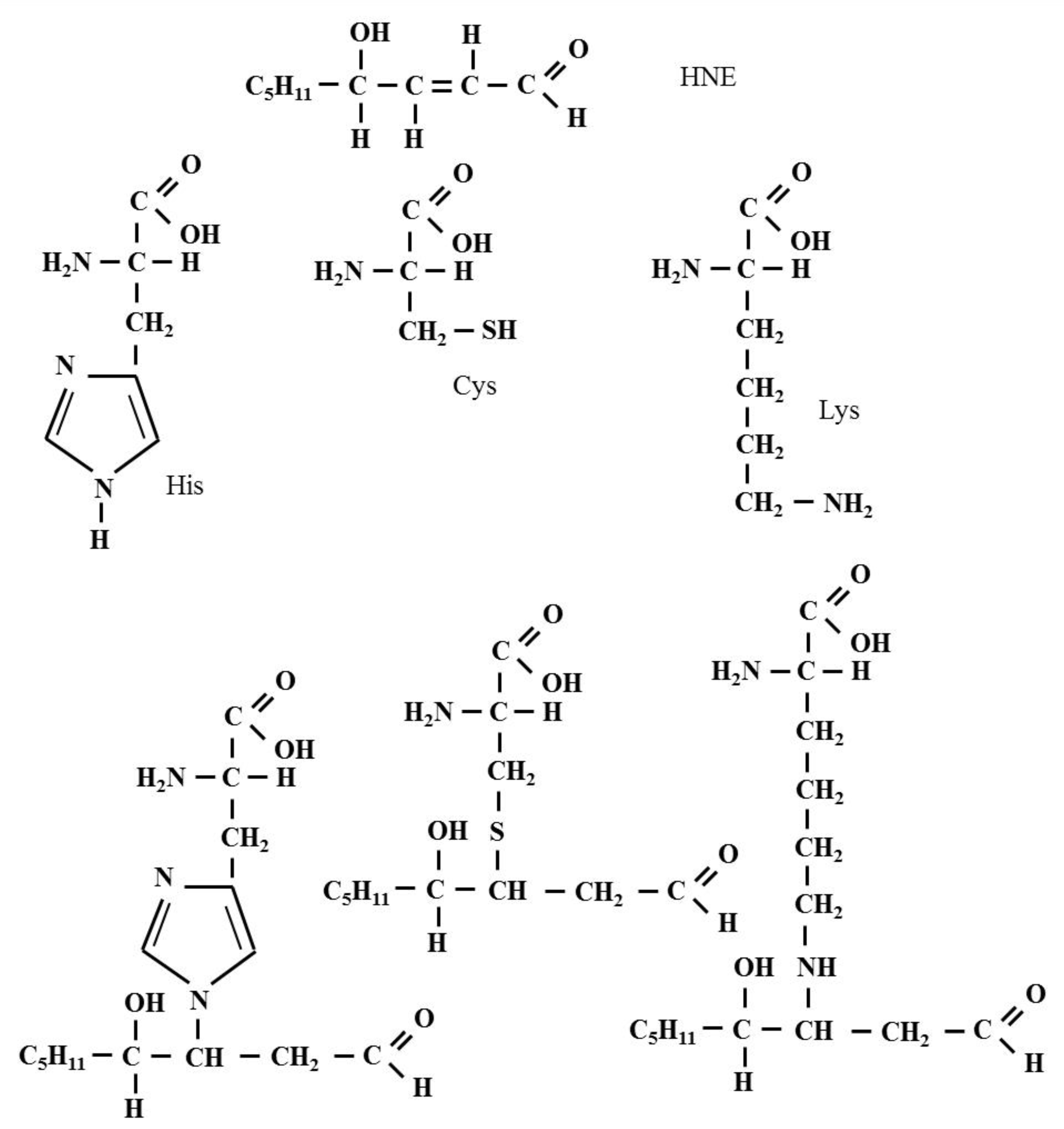 Biomolecules 12 00145 g003 Biomolecules 12 00145 g003