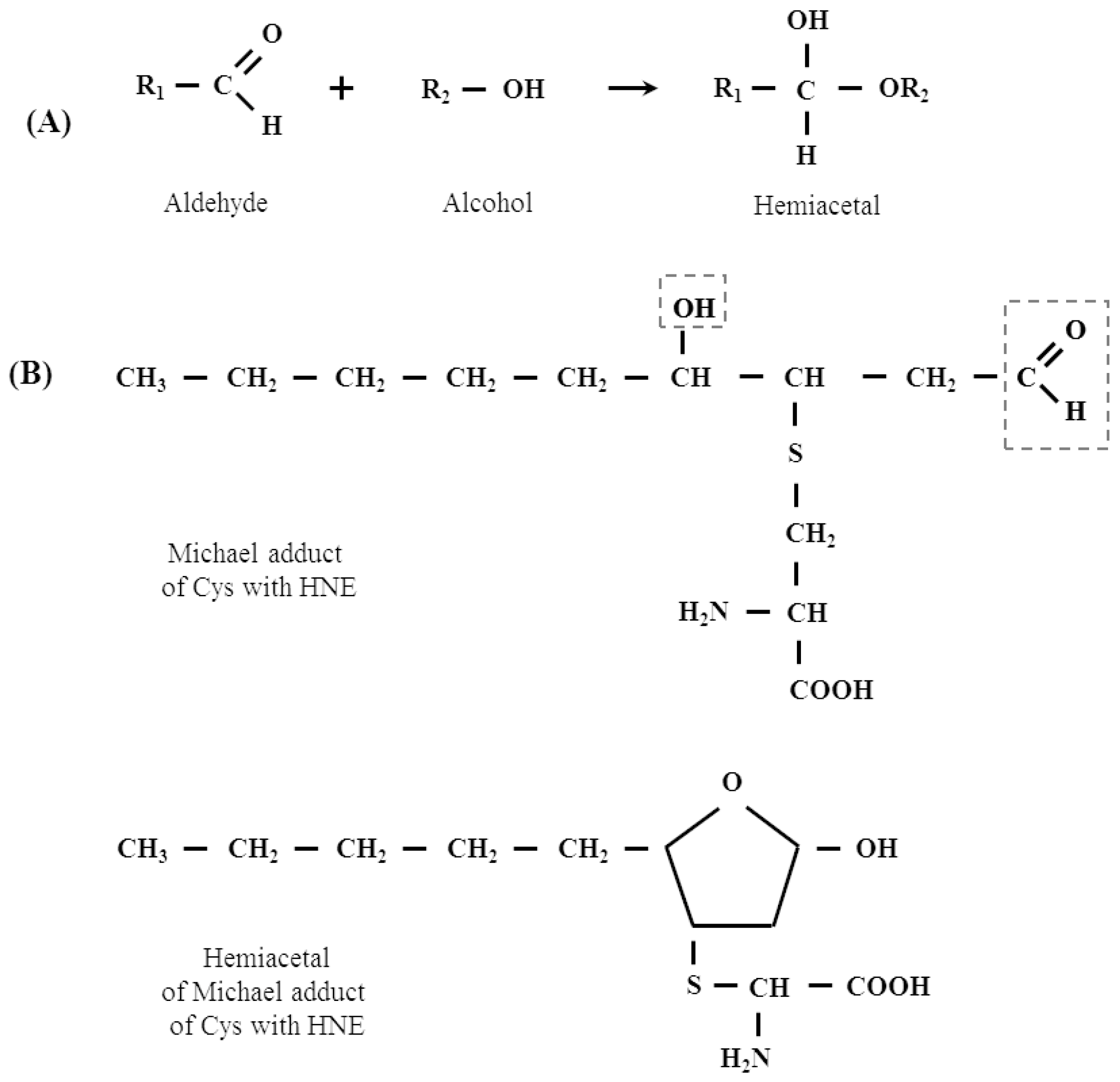 Biomolecules 12 00145 g004a Biomolecules 12 00145 g004a