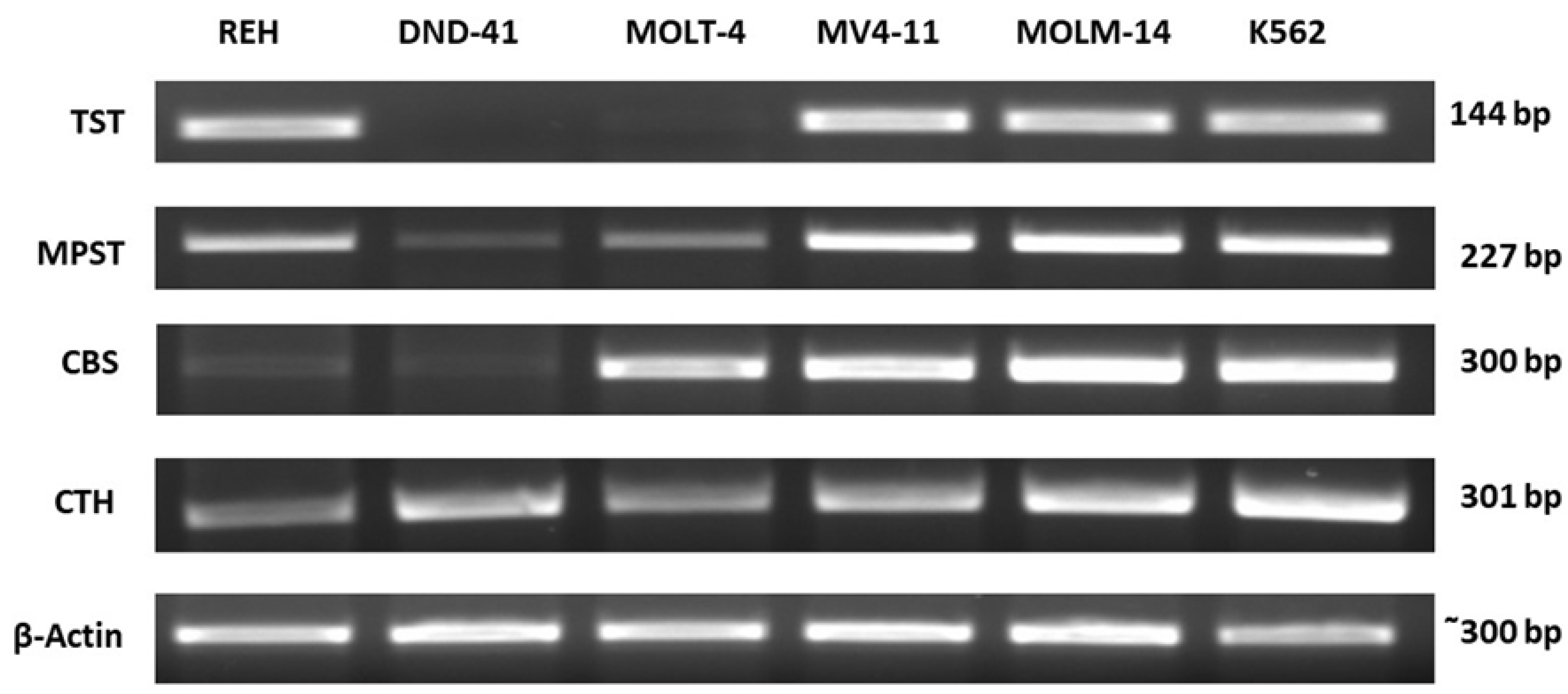 Biomolecules 12 00148 g002