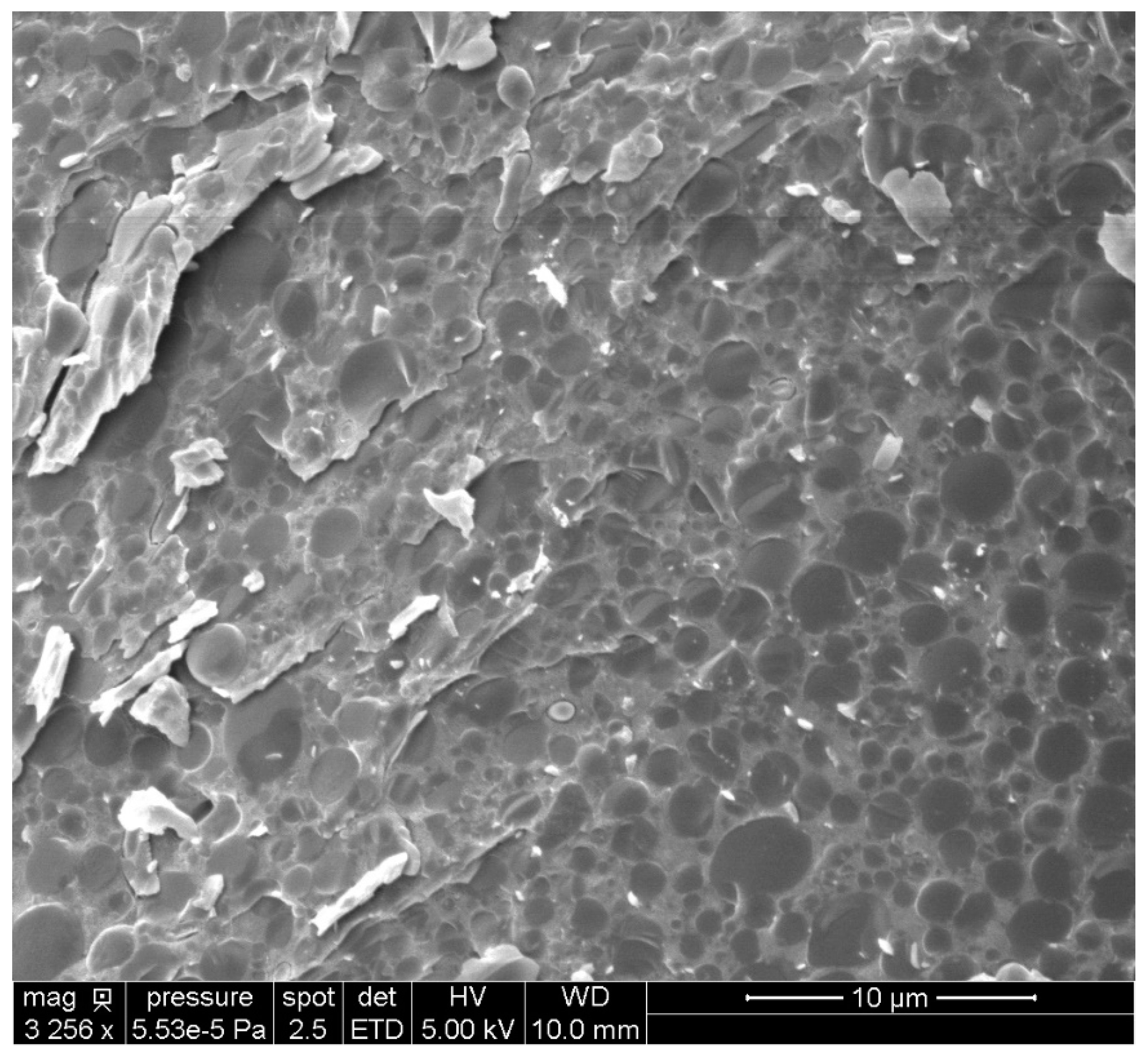 Biomolecules 12 00149 g003
