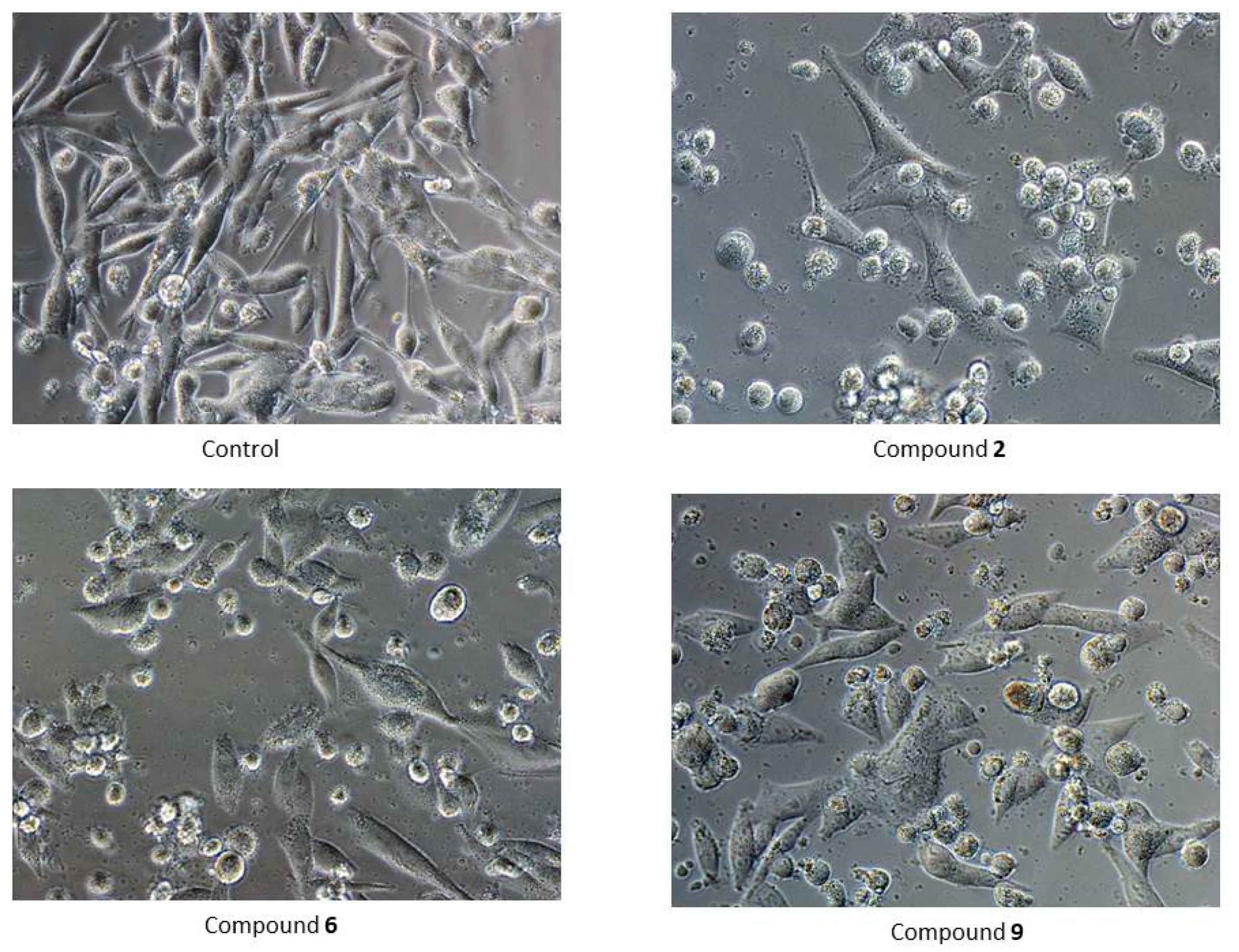 Biomolecules 12 00151 g004 550