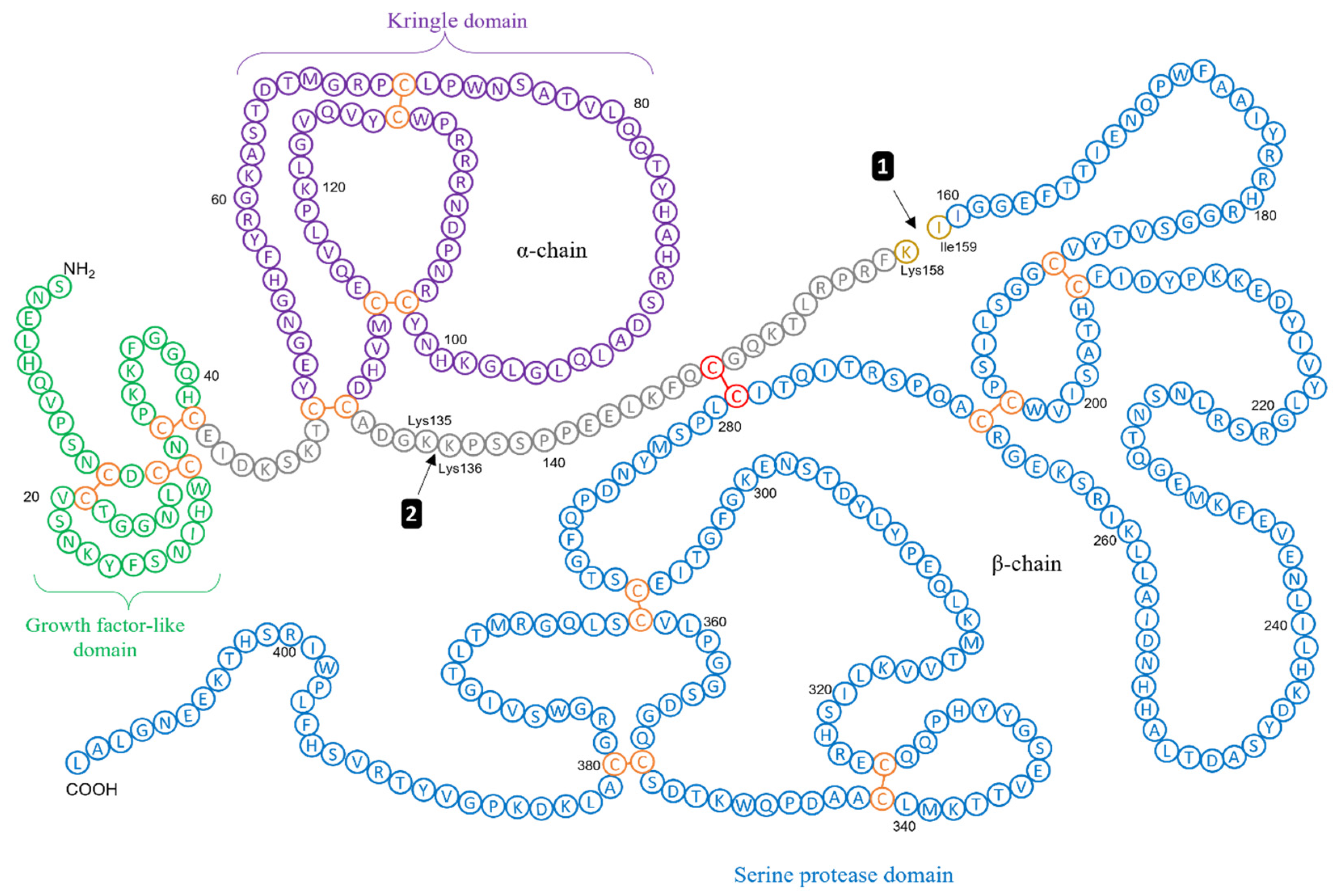 Biomolecules 12 00152 g002 Biomolecules 12 00152 g002