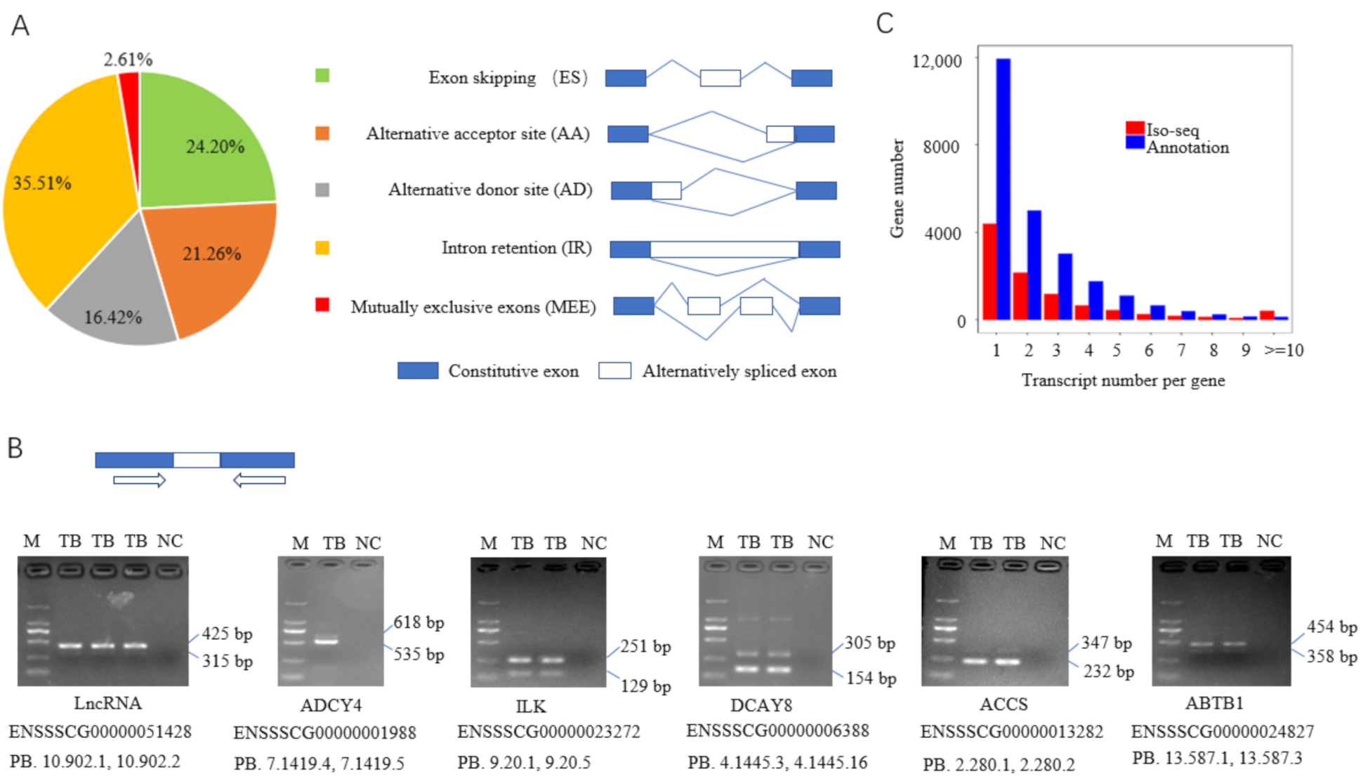 Biomolecules 12 00154 g003