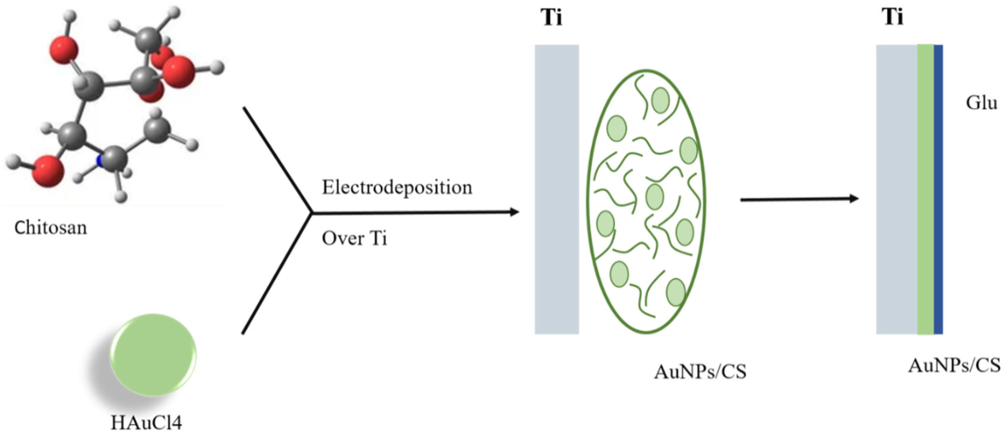 Biomolecules 12 00155 g003 550