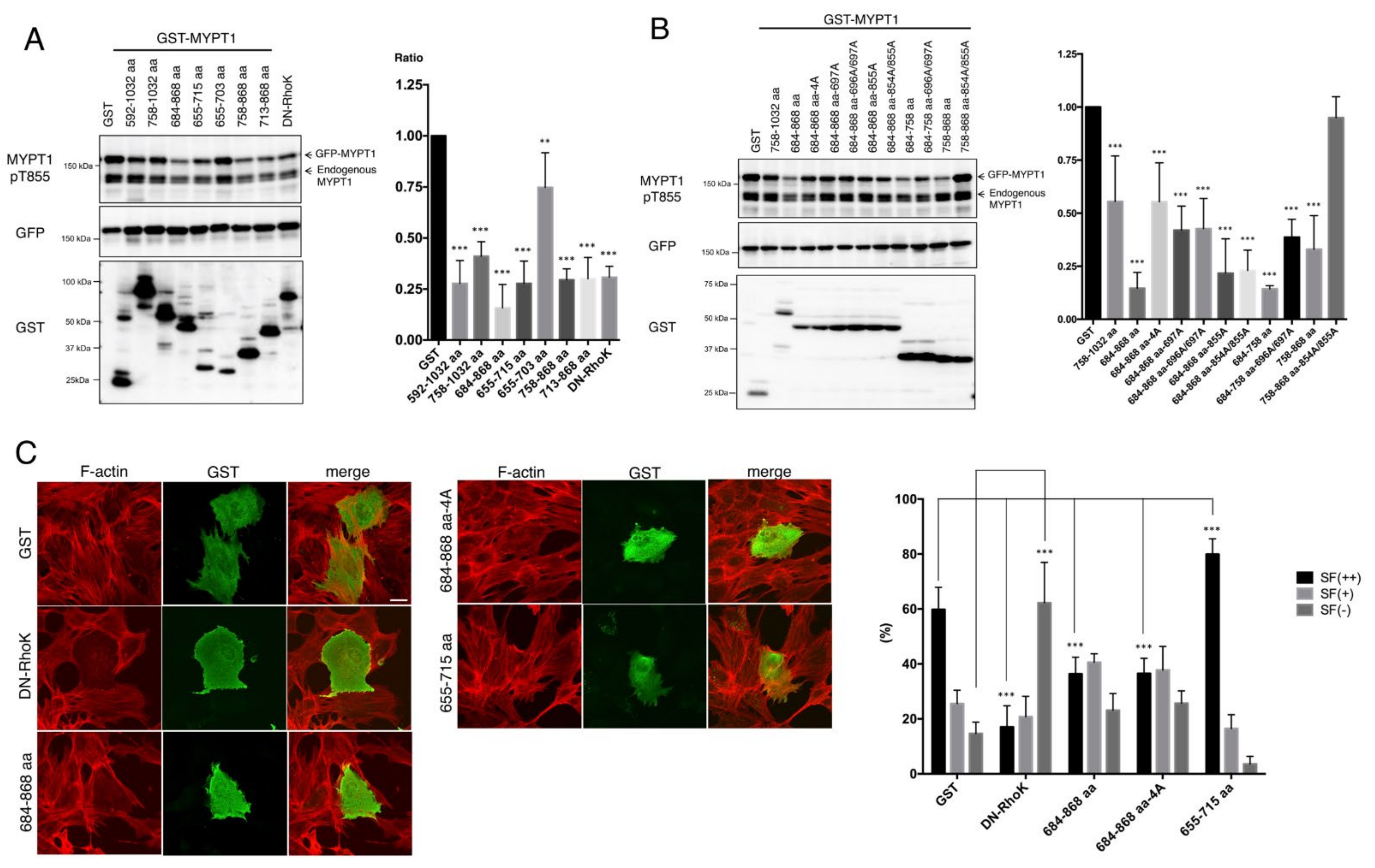 Biomolecules 12 00159 g003 550