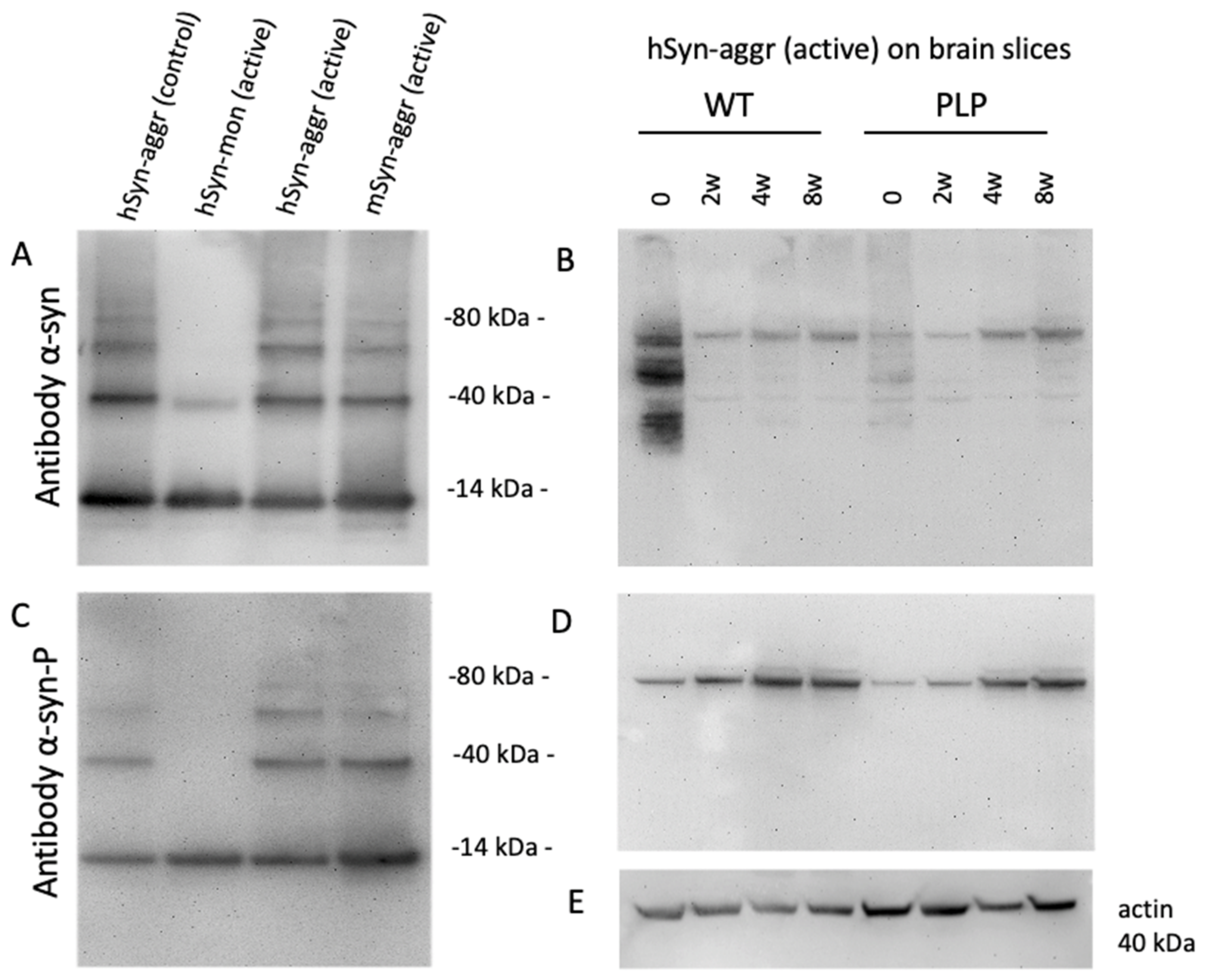 Biomolecules 12 00163 g003