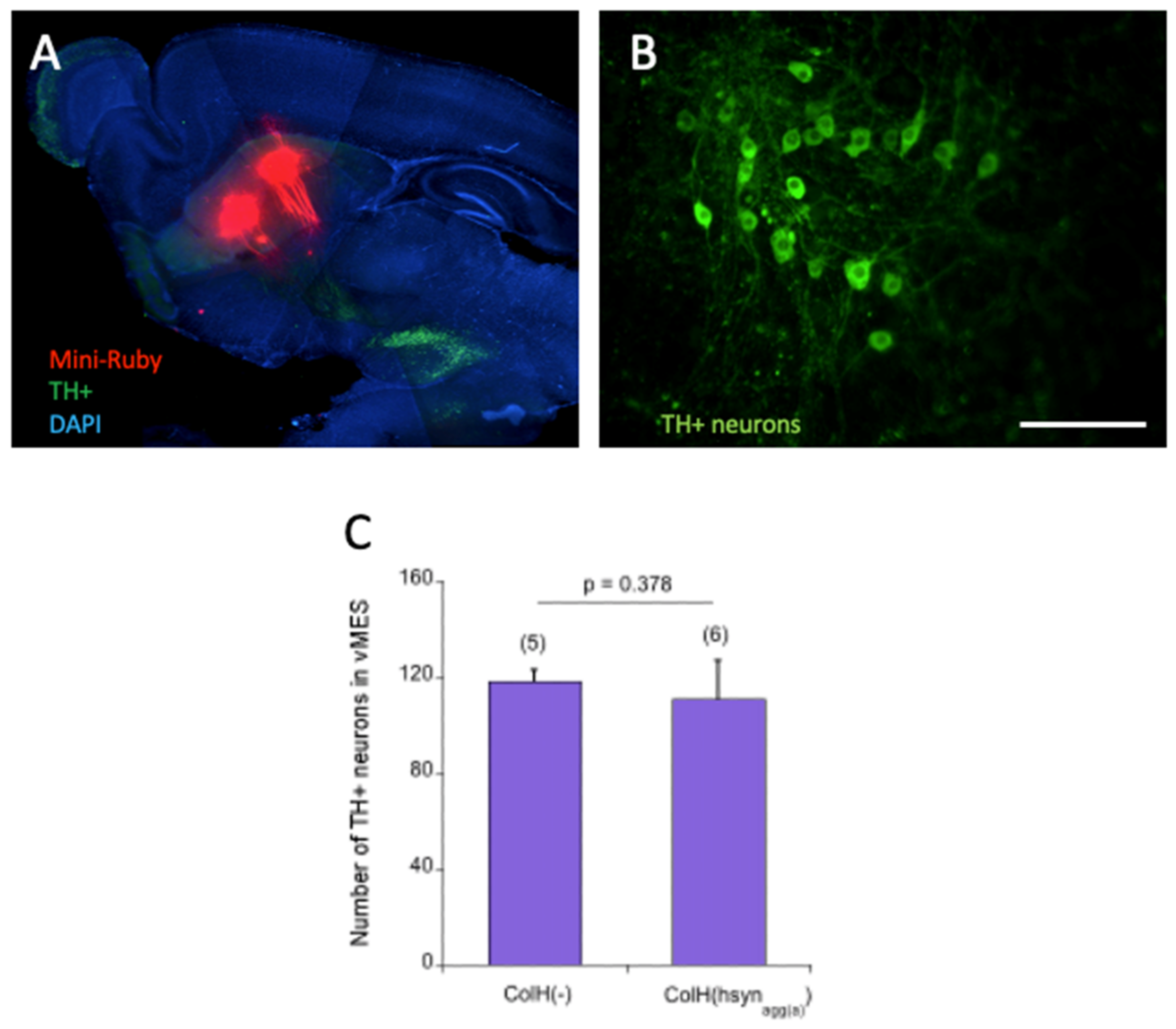 Biomolecules 12 00163 g011