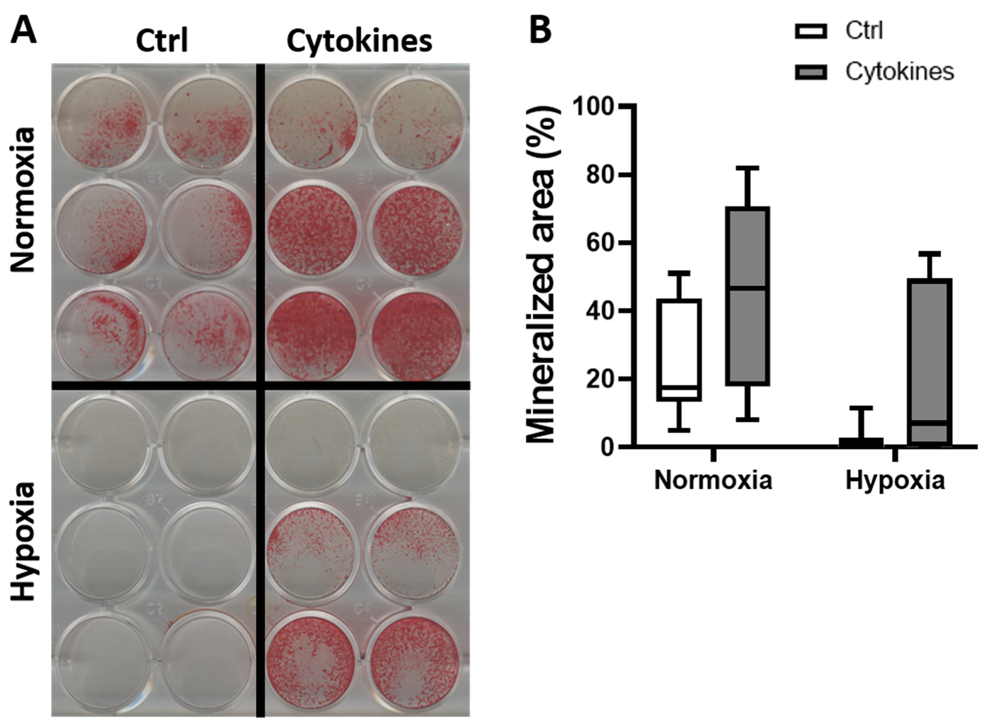 Biomolecules 12 00169 g004 Biomolecules 12 00169 g004