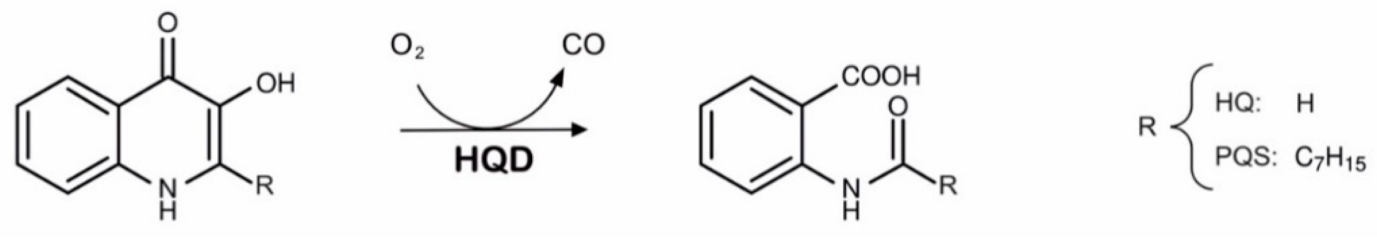 Biomolecules 12 00170 g001 550