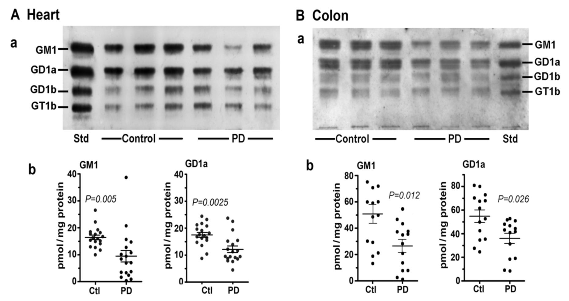 Biomolecules 12 00173 g003
