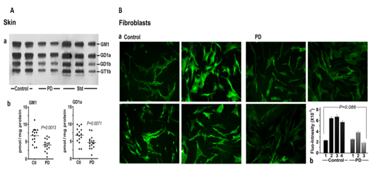 Biomolecules 12 00173 g004