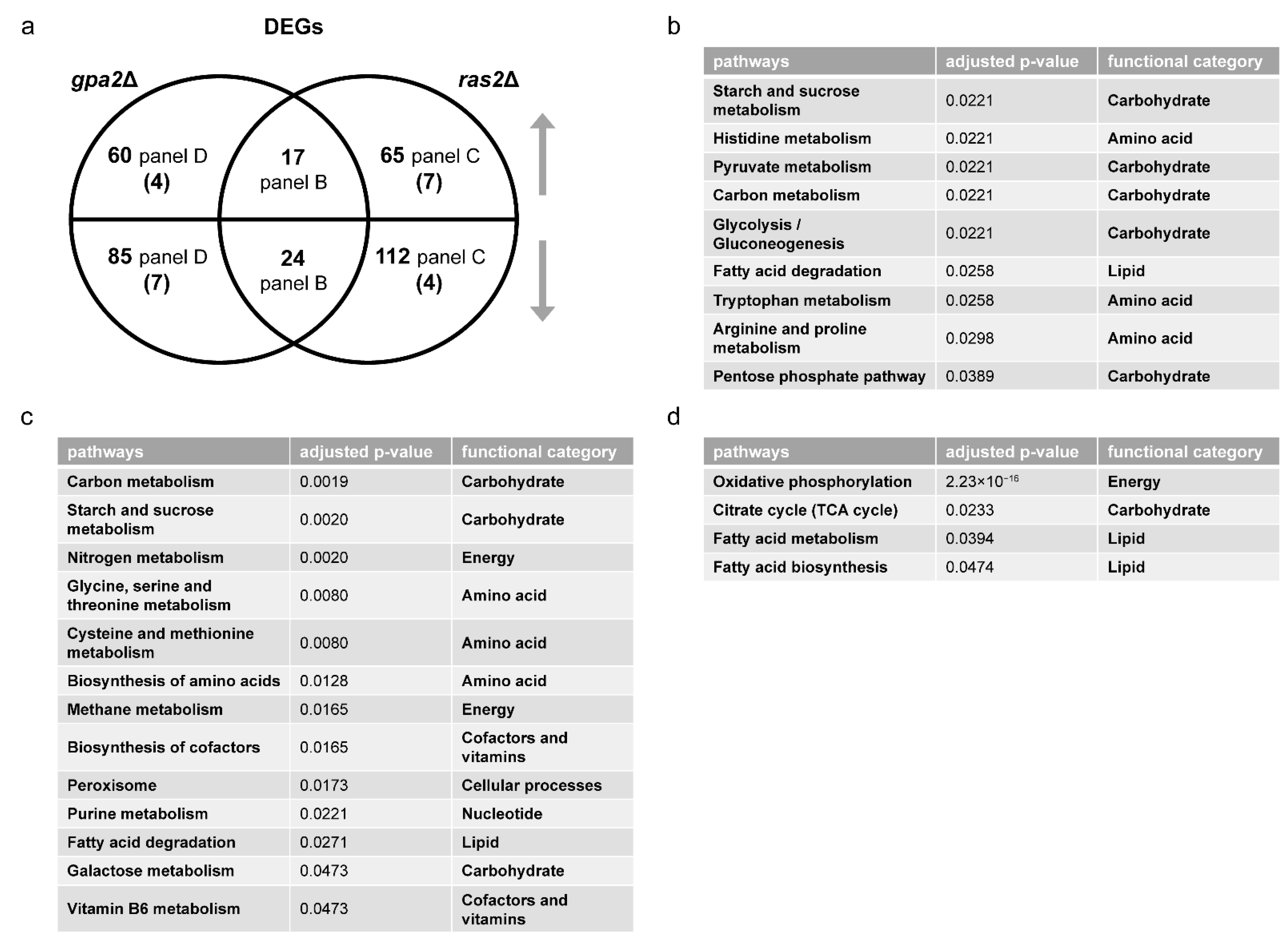 Biomolecules 12 00175 g005 Biomolecules 12 00175 g005
