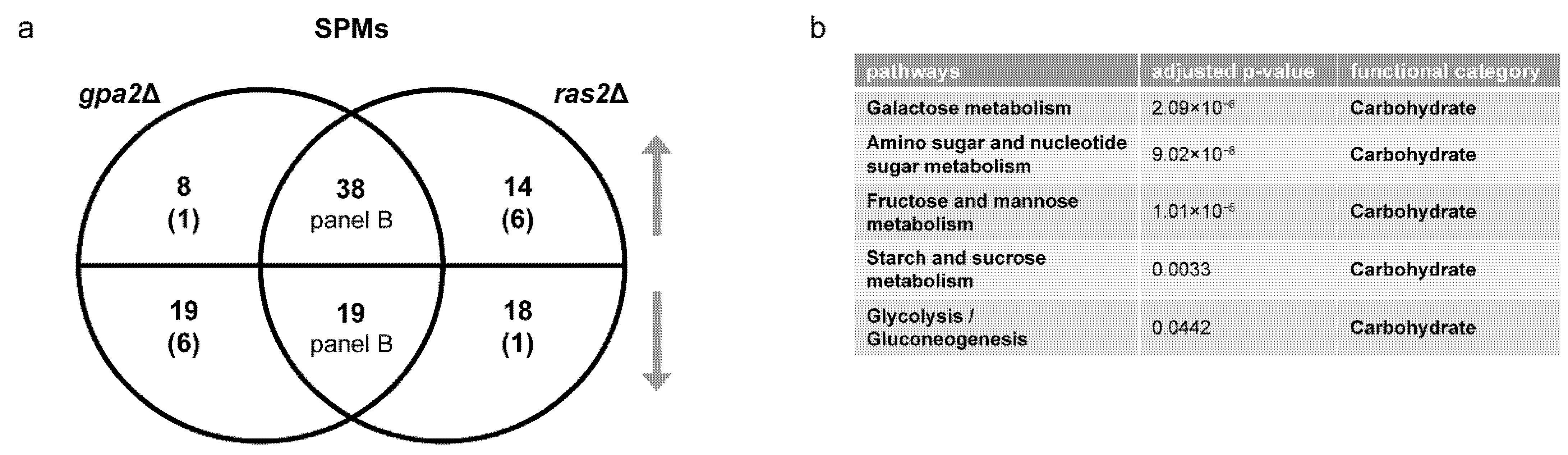 Biomolecules 12 00175 g006 Biomolecules 12 00175 g006