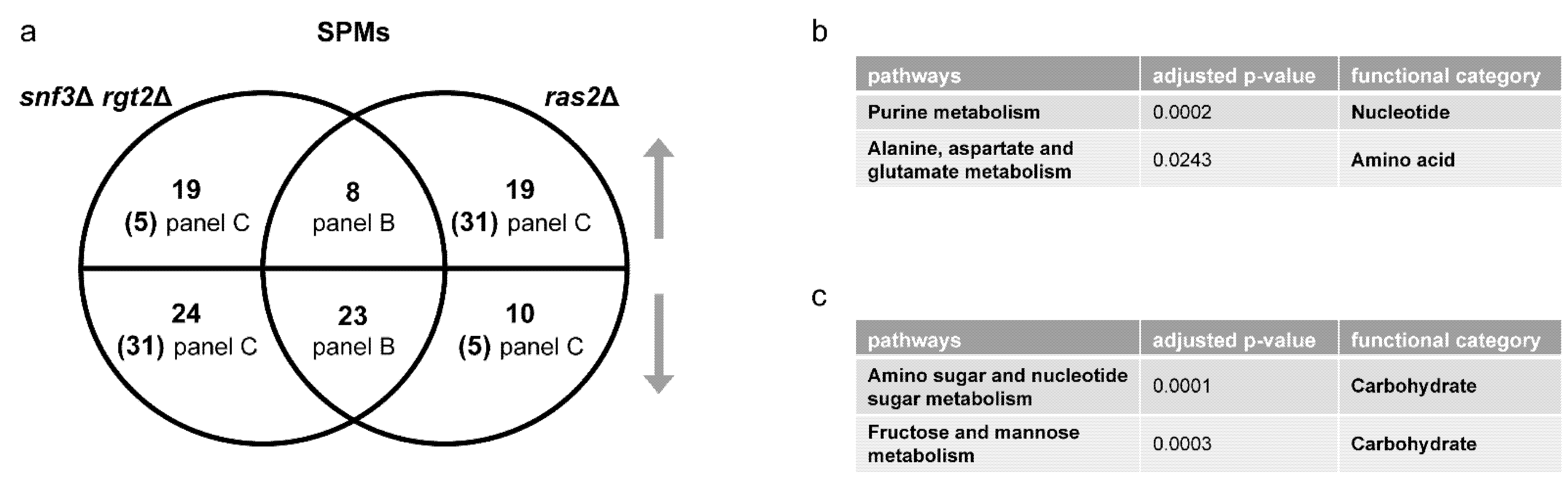 Biomolecules 12 00175 g009 Biomolecules 12 00175 g009