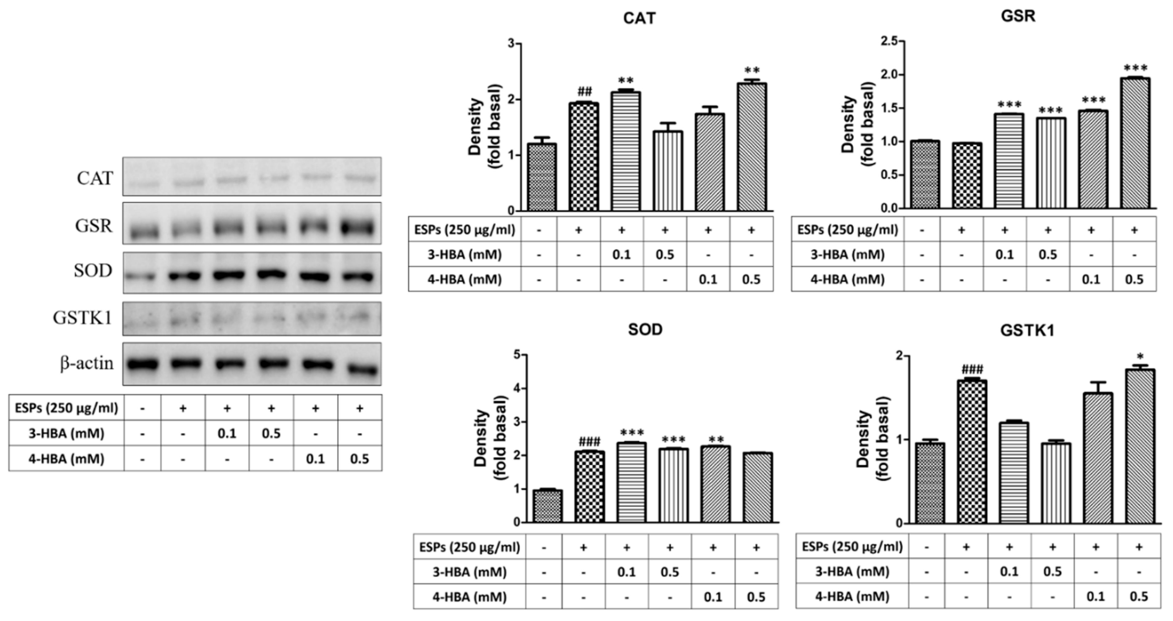 Biomolecules 12 00177 g006 550