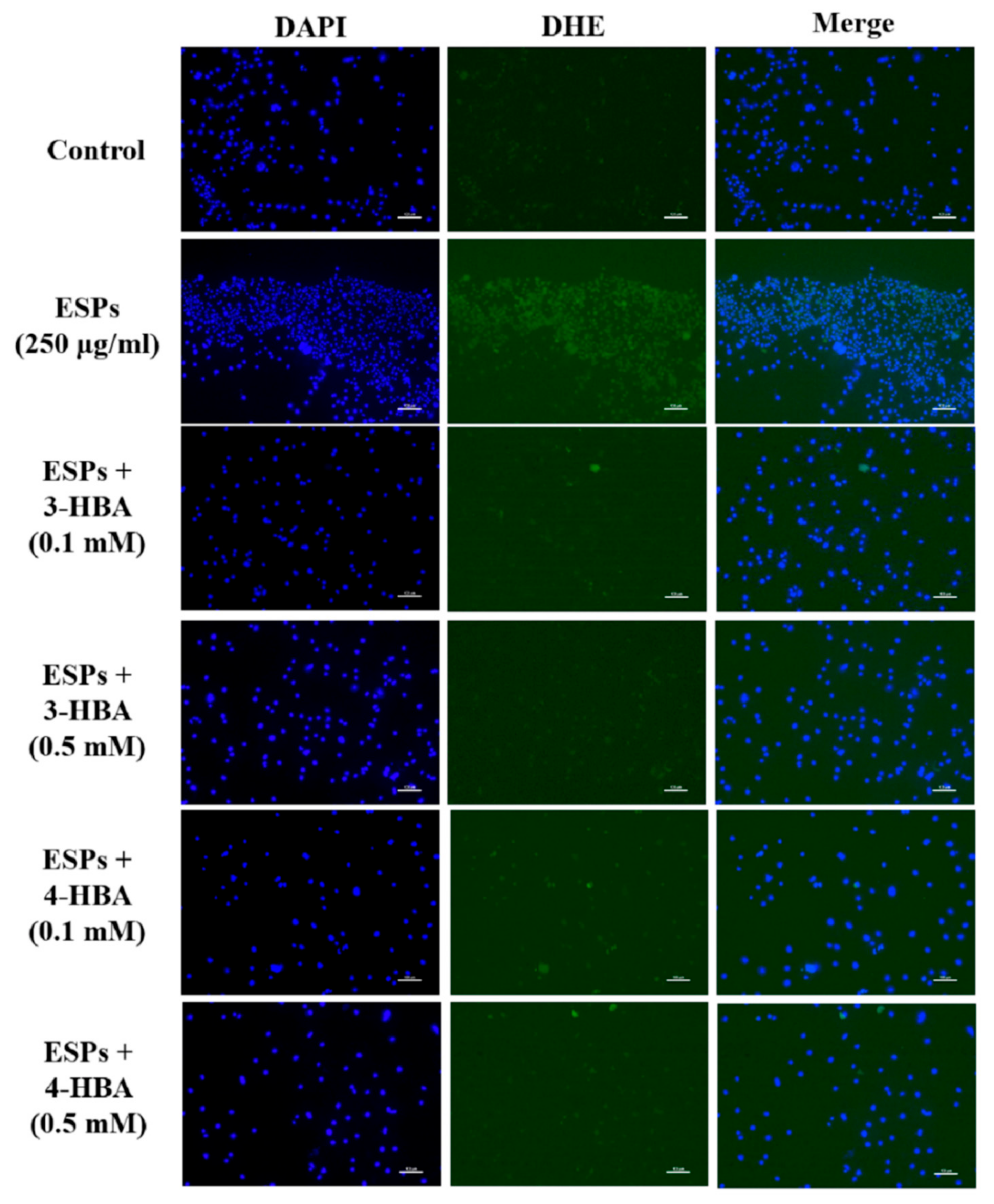 Biomolecules 12 00177 g008 550