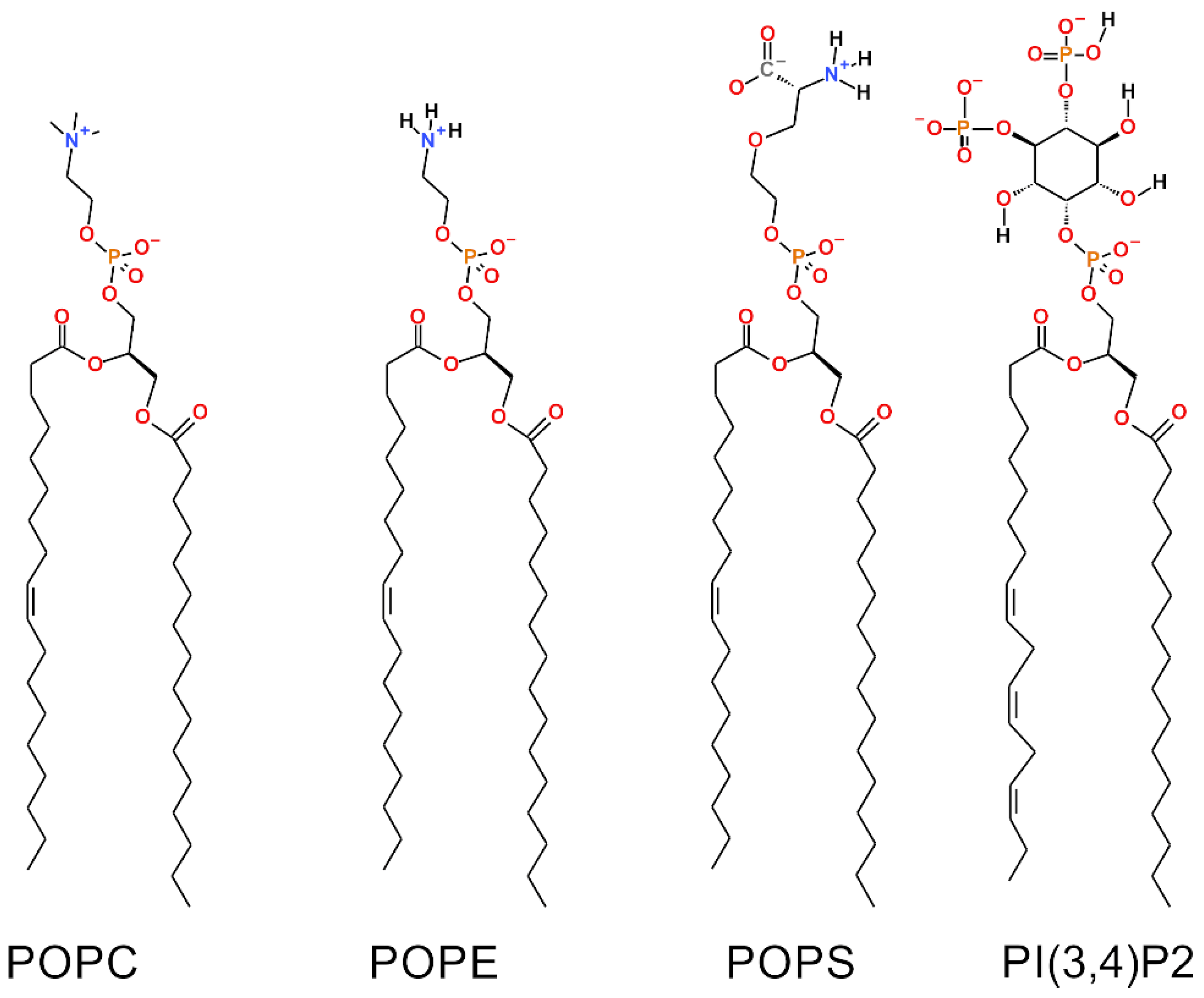 Biomolecules 12 00183 g001