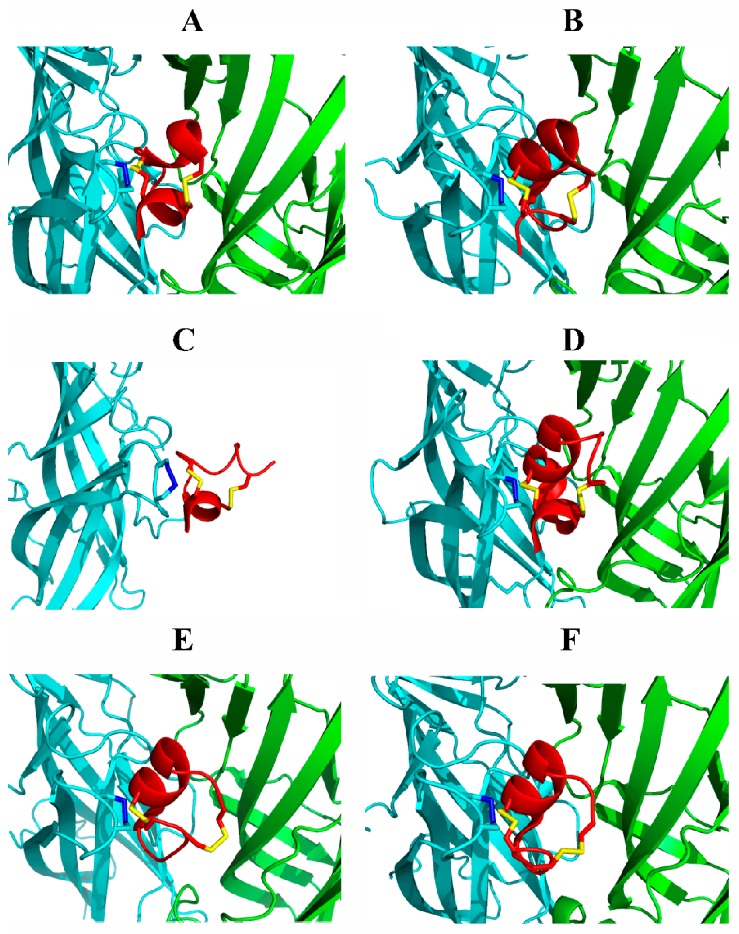 Biomolecules 12 00189 g004 Biomolecules 12 00189 g004