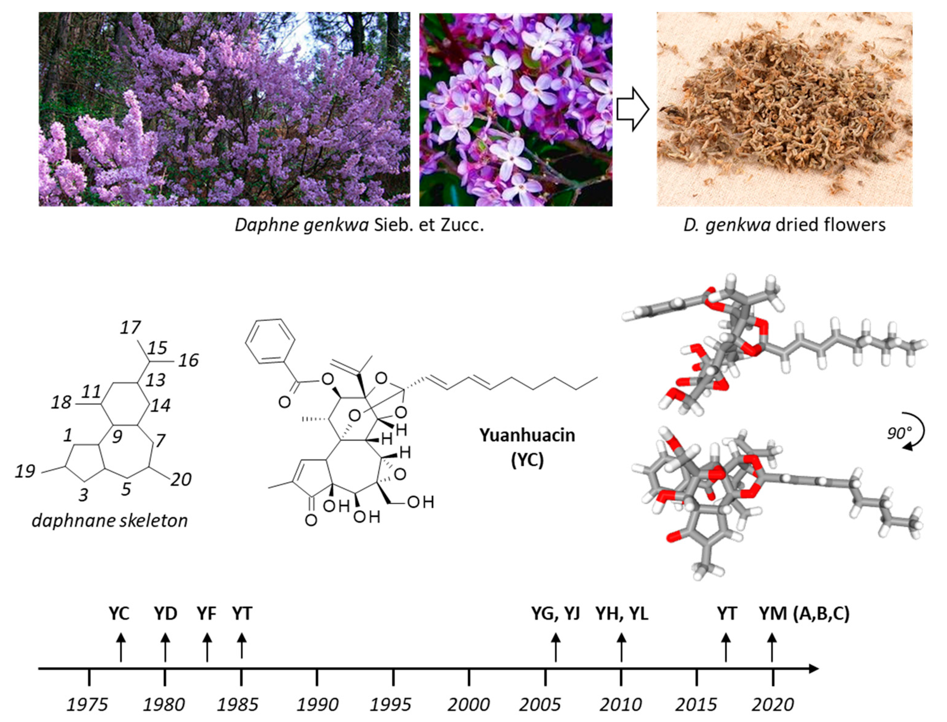 Biomolecules 12 00192 g001