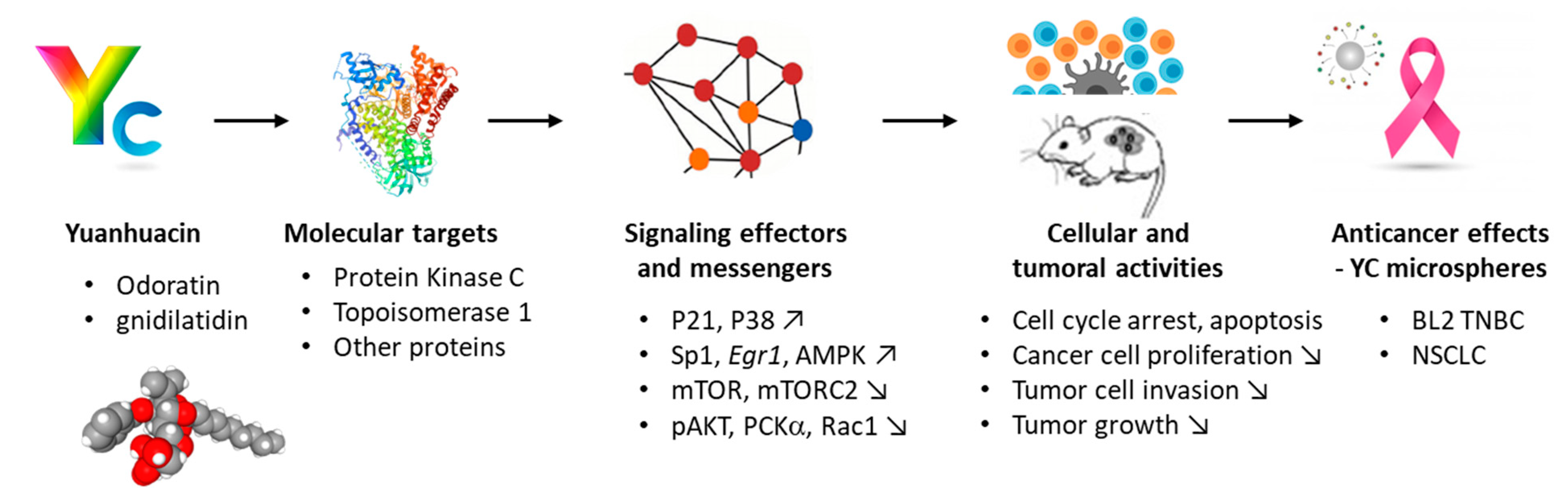 Biomolecules 12 00192 g003
