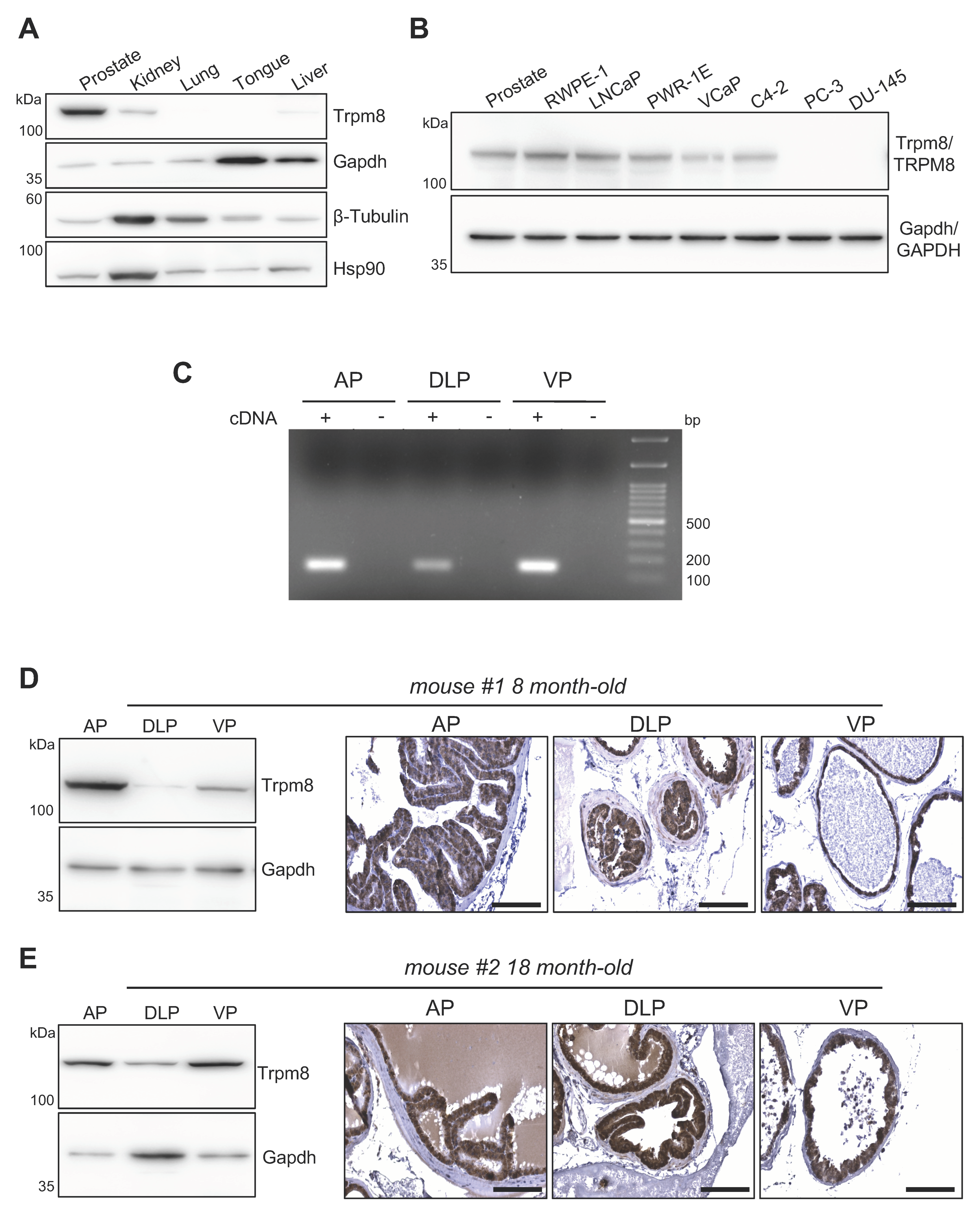 Biomolecules 12 00193 g001 550