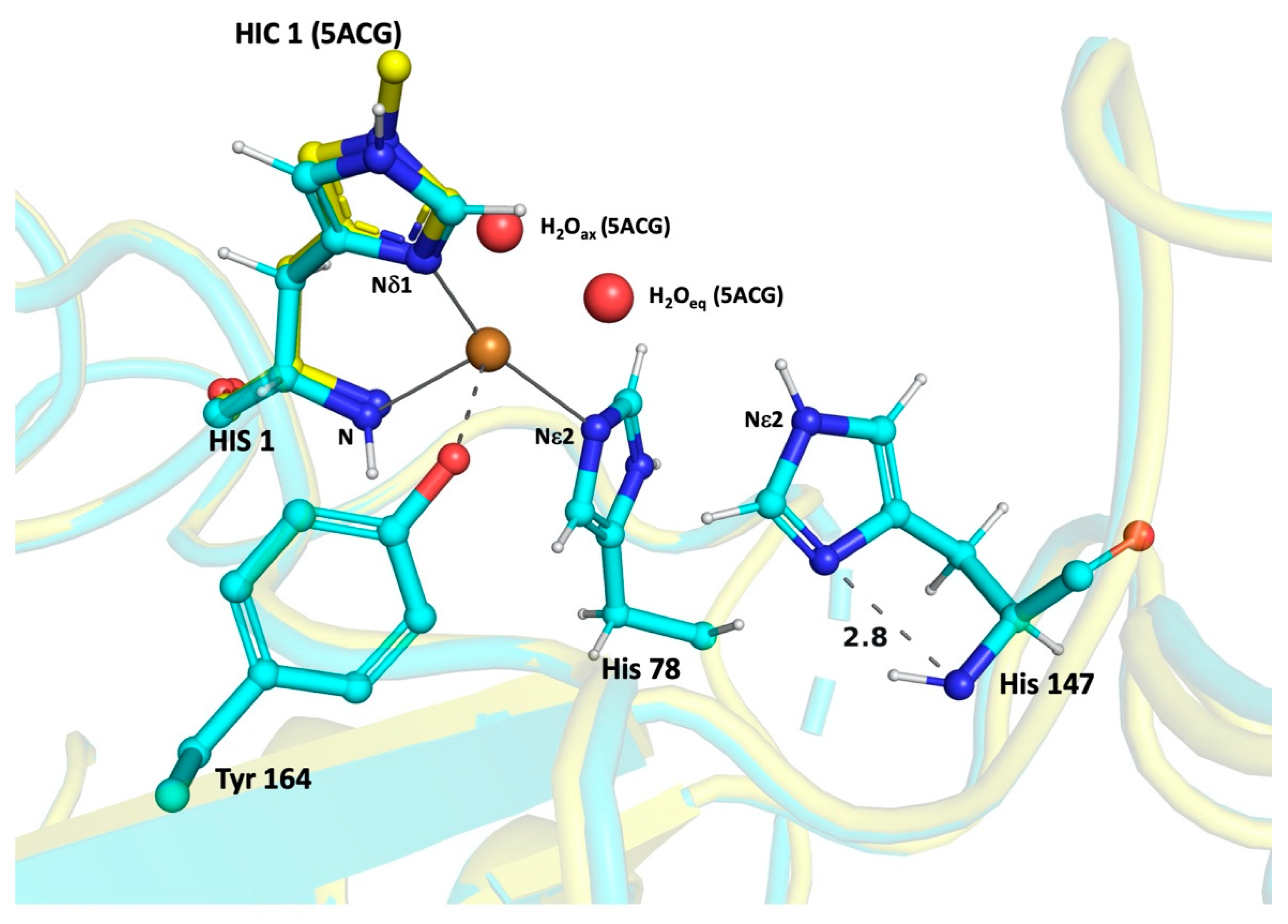 Biomolecules 12 00194 g004
