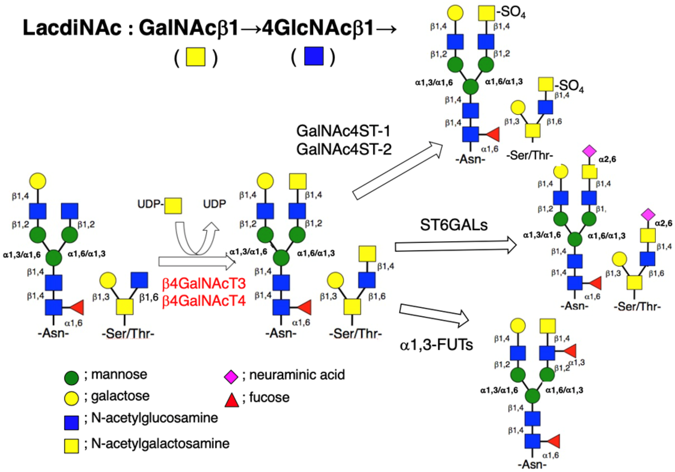 Biomolecules 12 00195 g001
