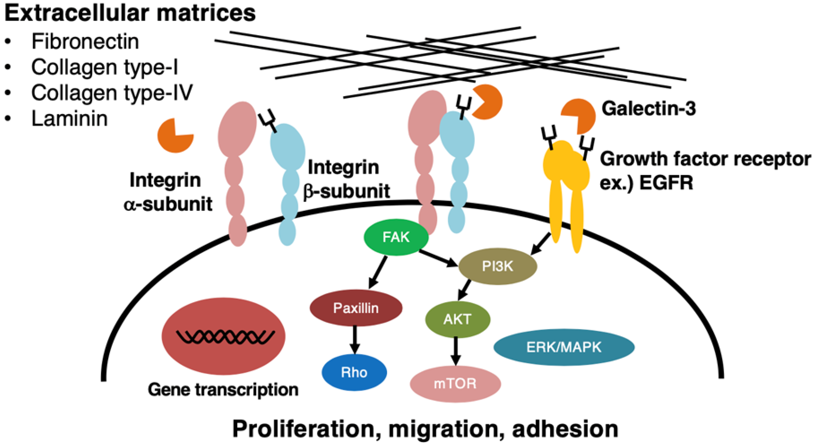 Biomolecules 12 00195 g002