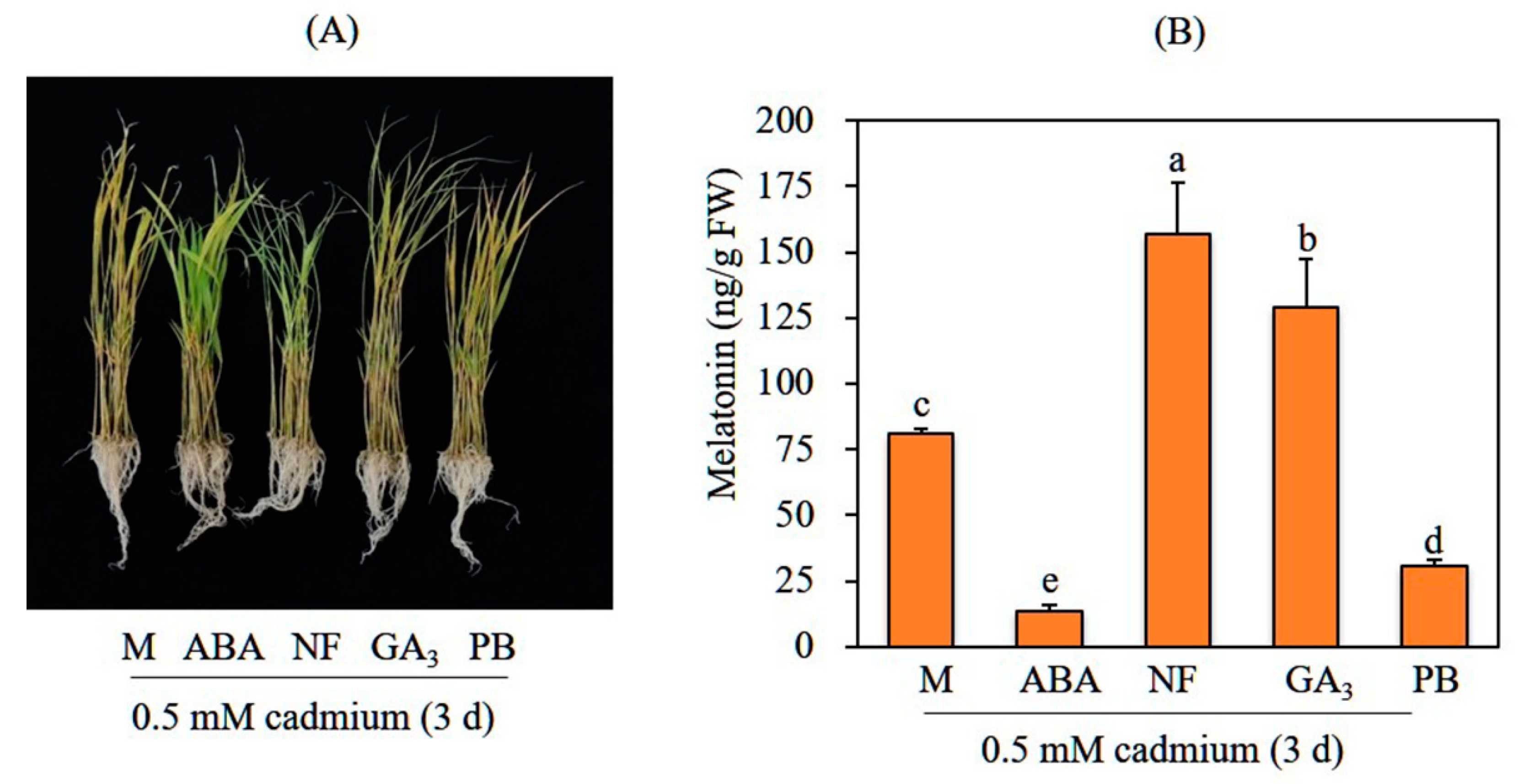 Biomolecules 12 00198 g001 550