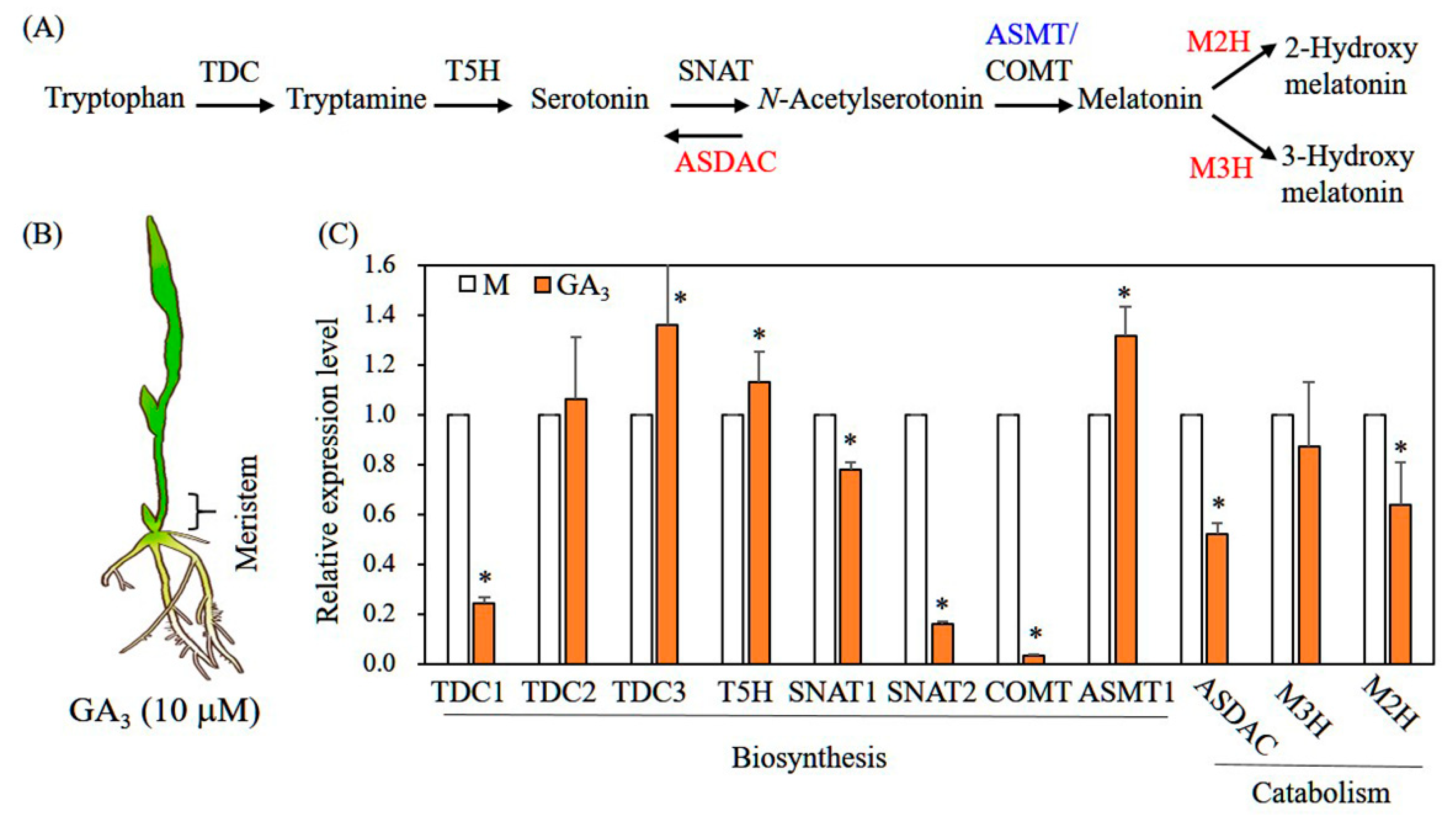 Biomolecules 12 00198 g004 550