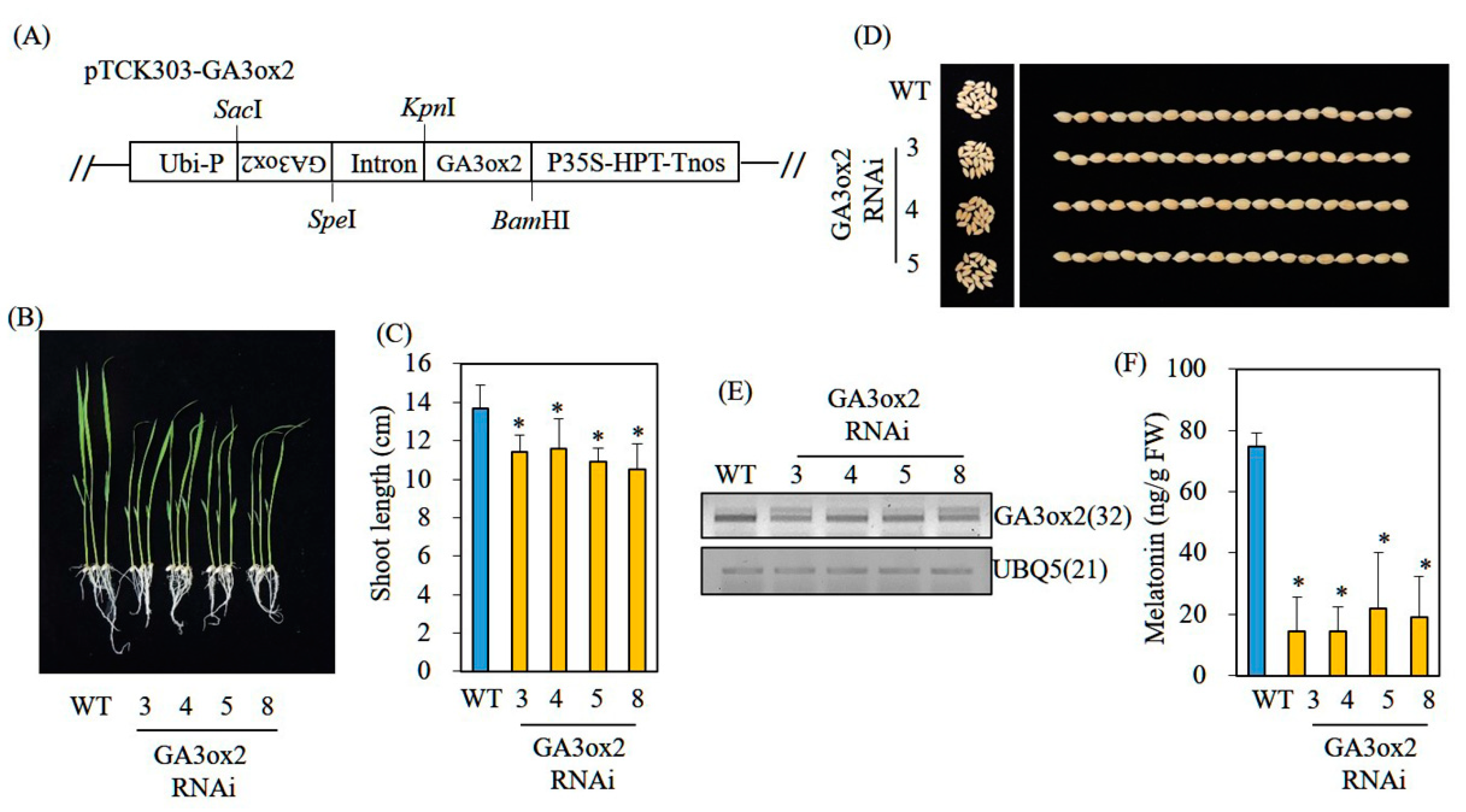 Biomolecules 12 00198 g005 550