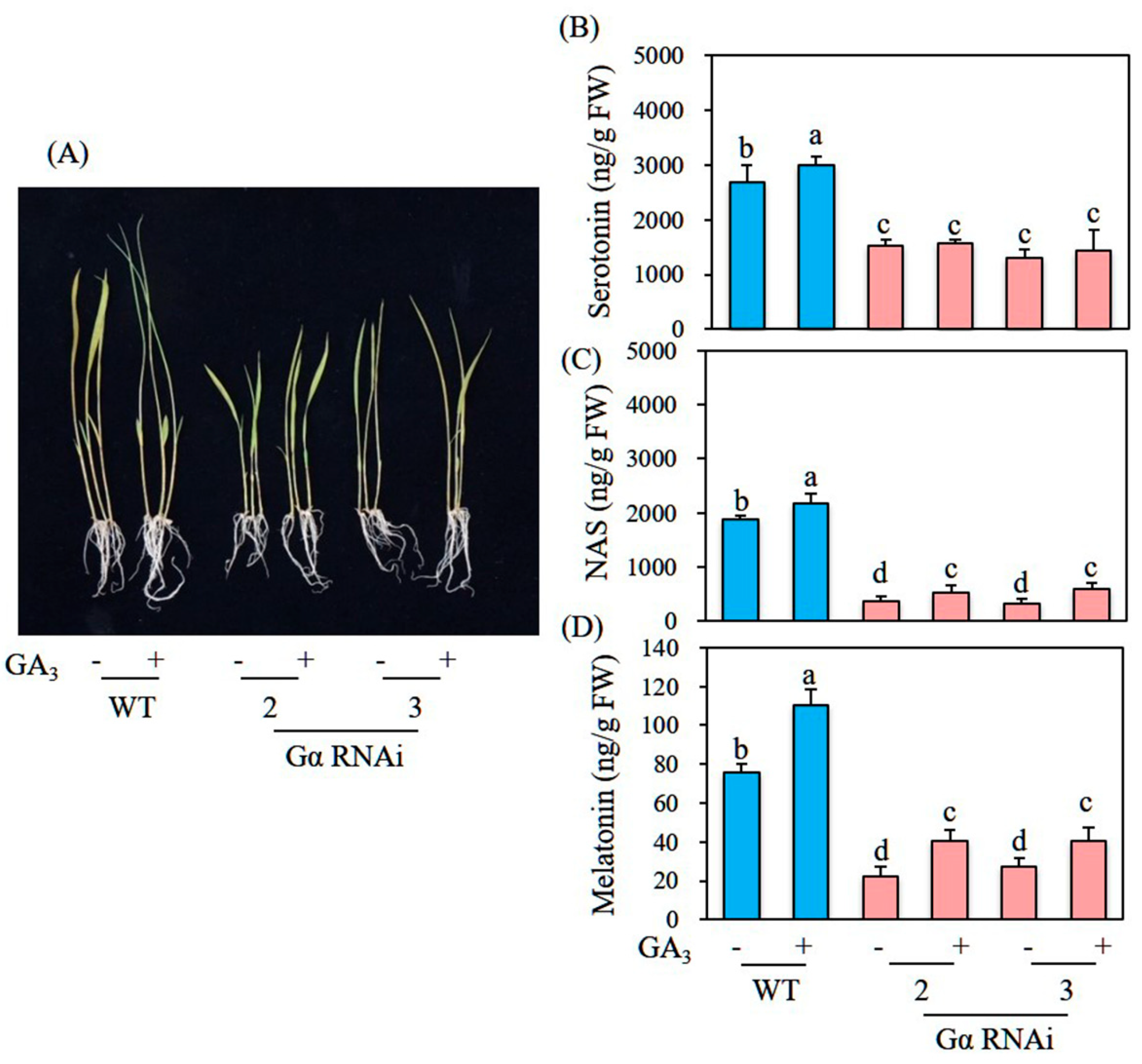 Biomolecules 12 00198 g007 550