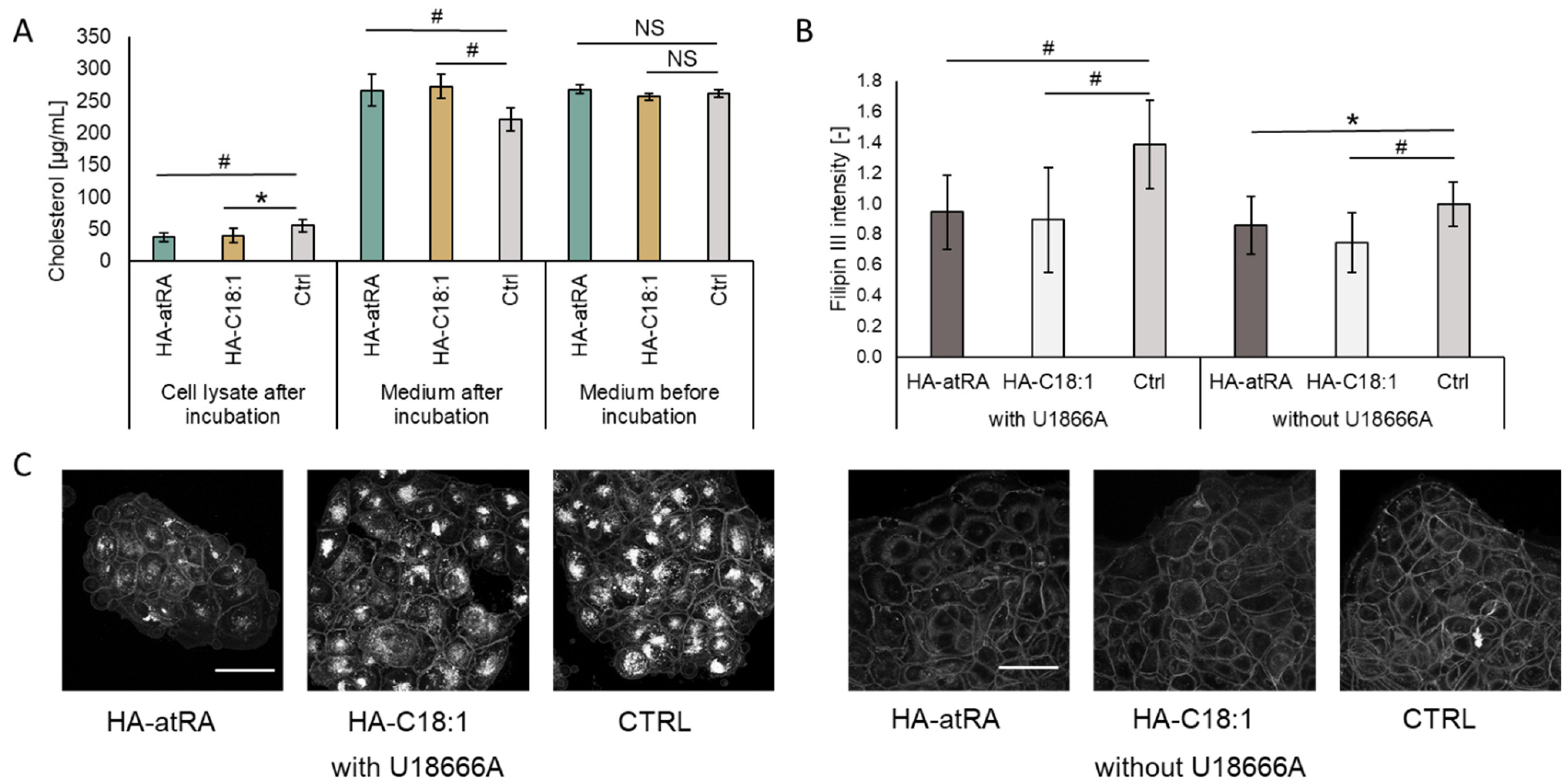 Biomolecules 12 00200 g005