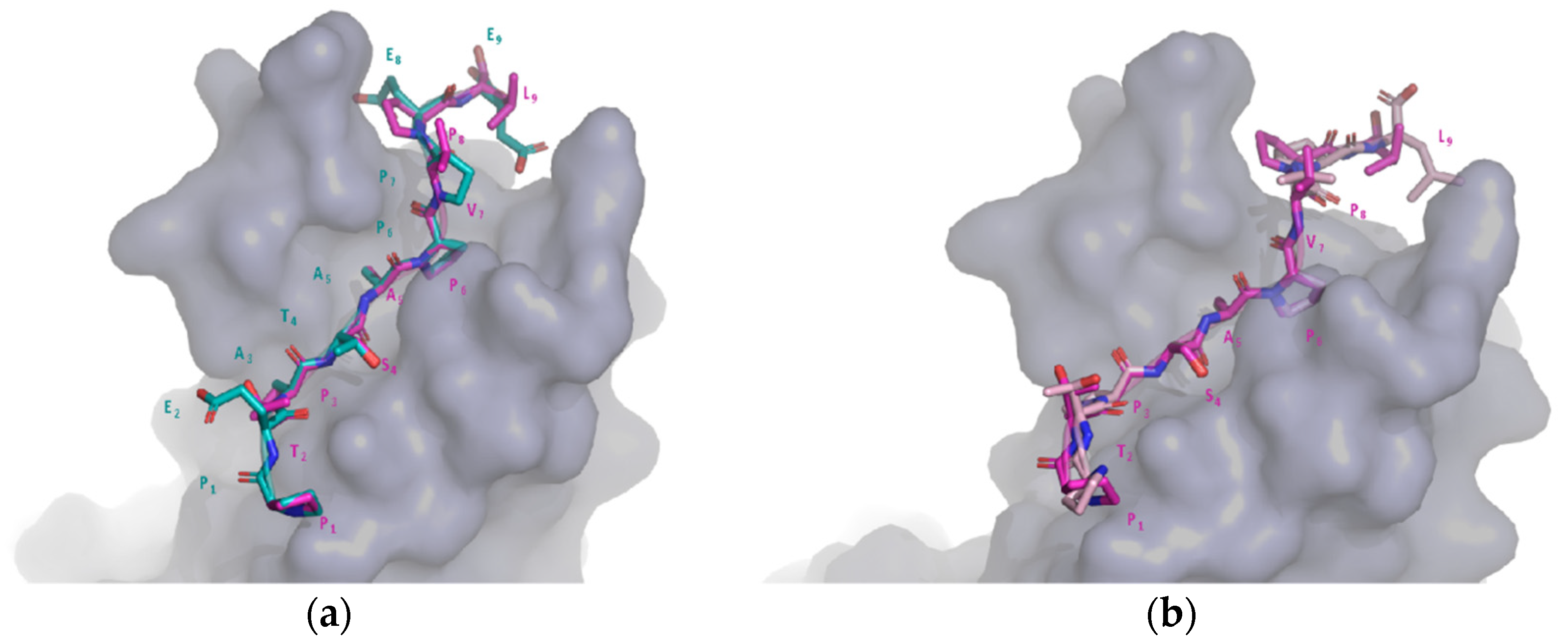 Biomolecules 12 00201 g004
