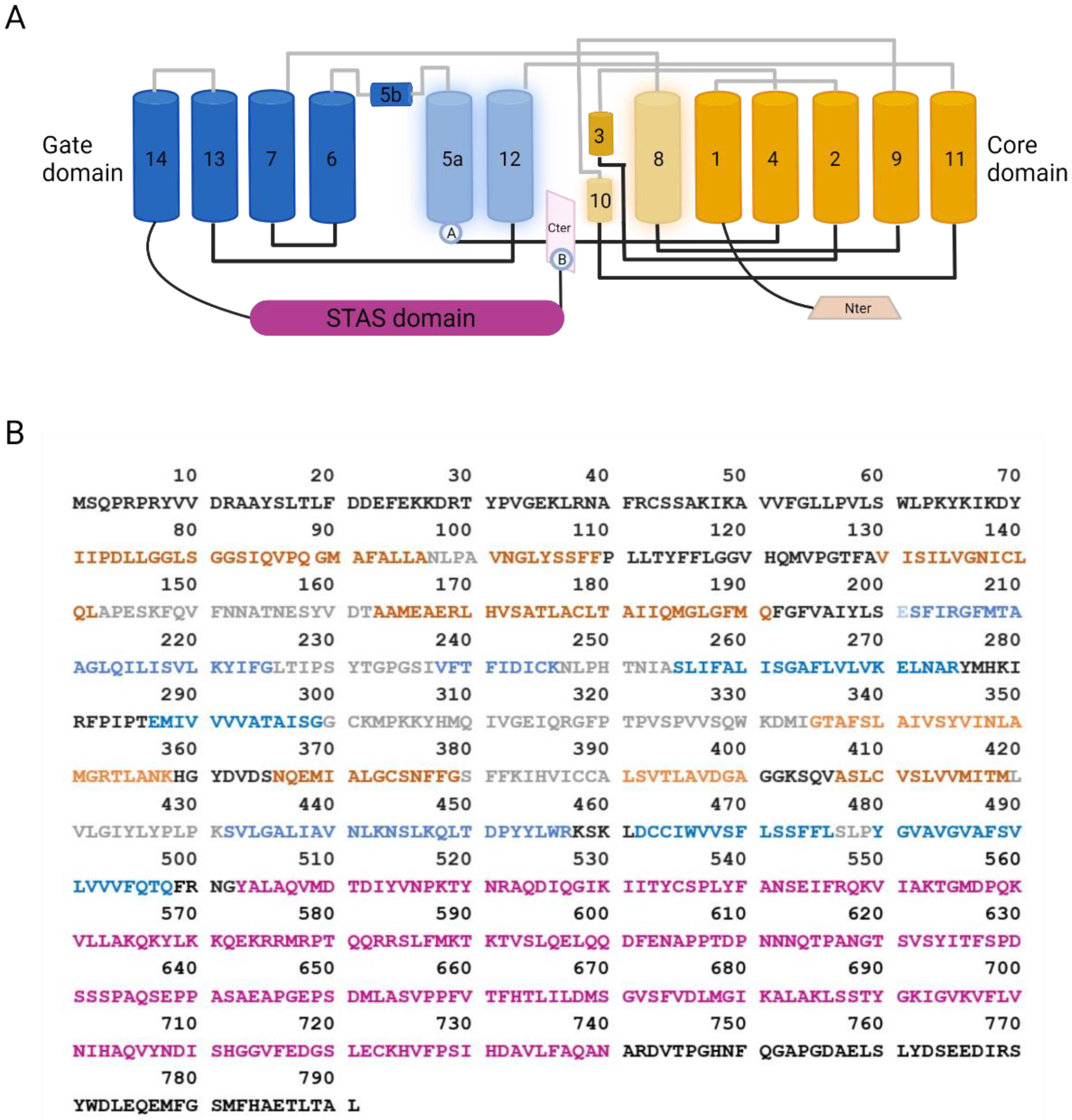 Biomolecules 12 00202 g002 550