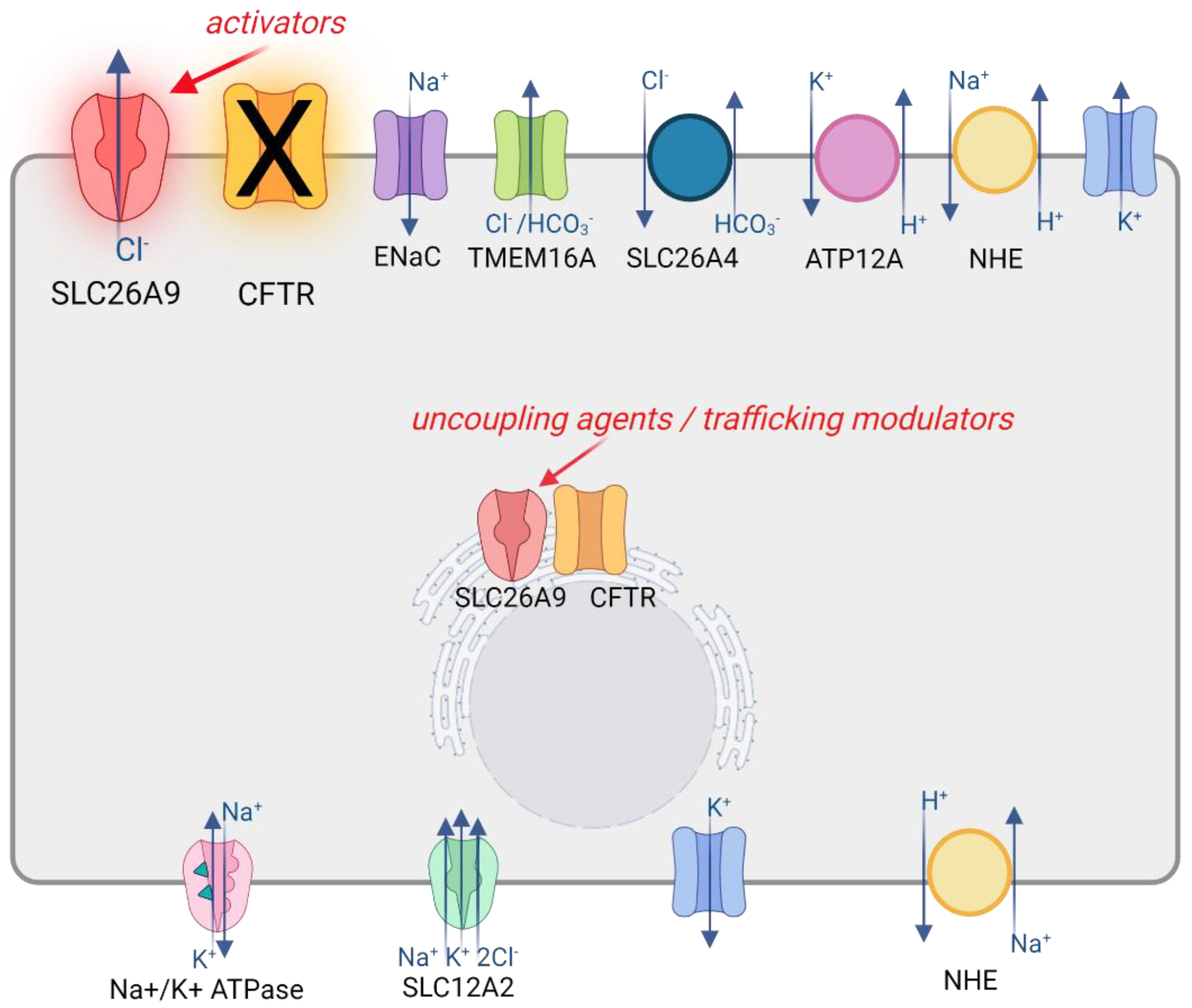 Biomolecules 12 00202 g003 550