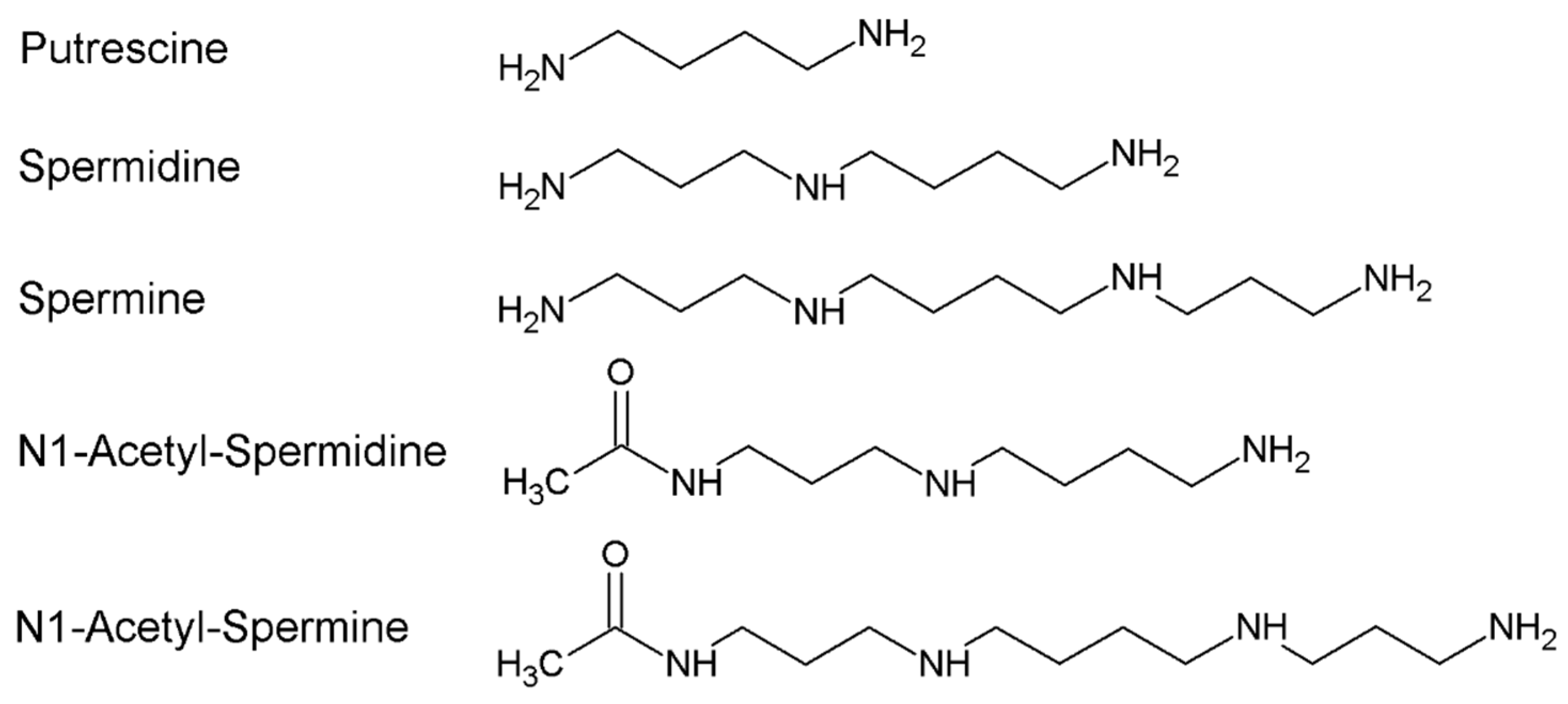 Biomolecules 12 00204 g001