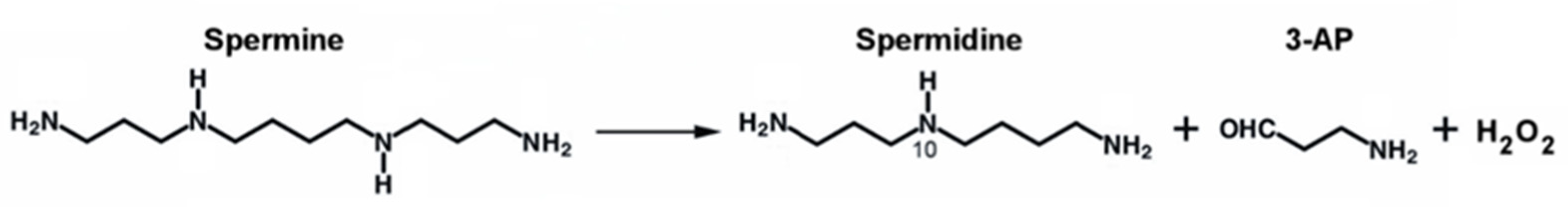 Biomolecules 12 00204 g003