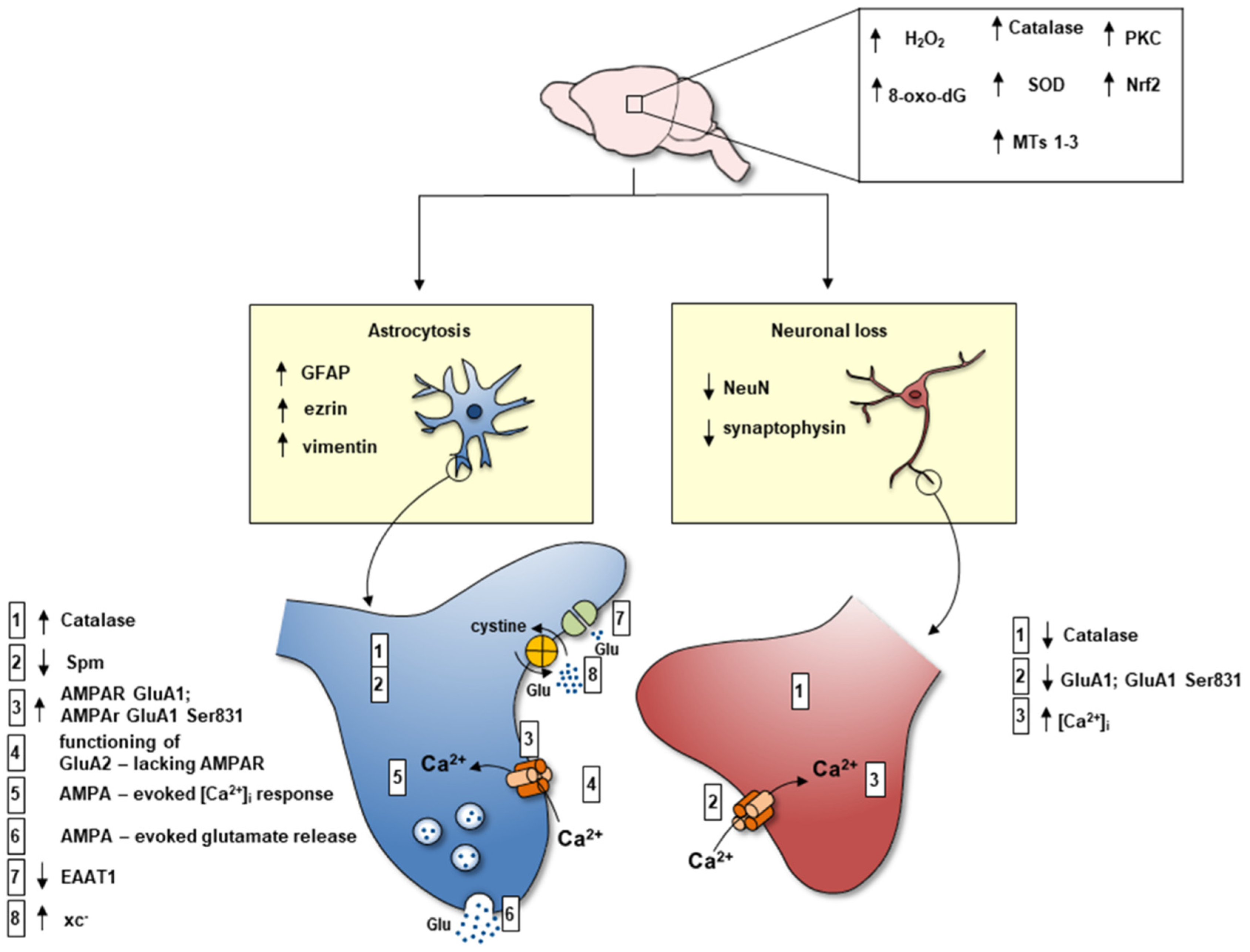 Biomolecules 12 00204 g005