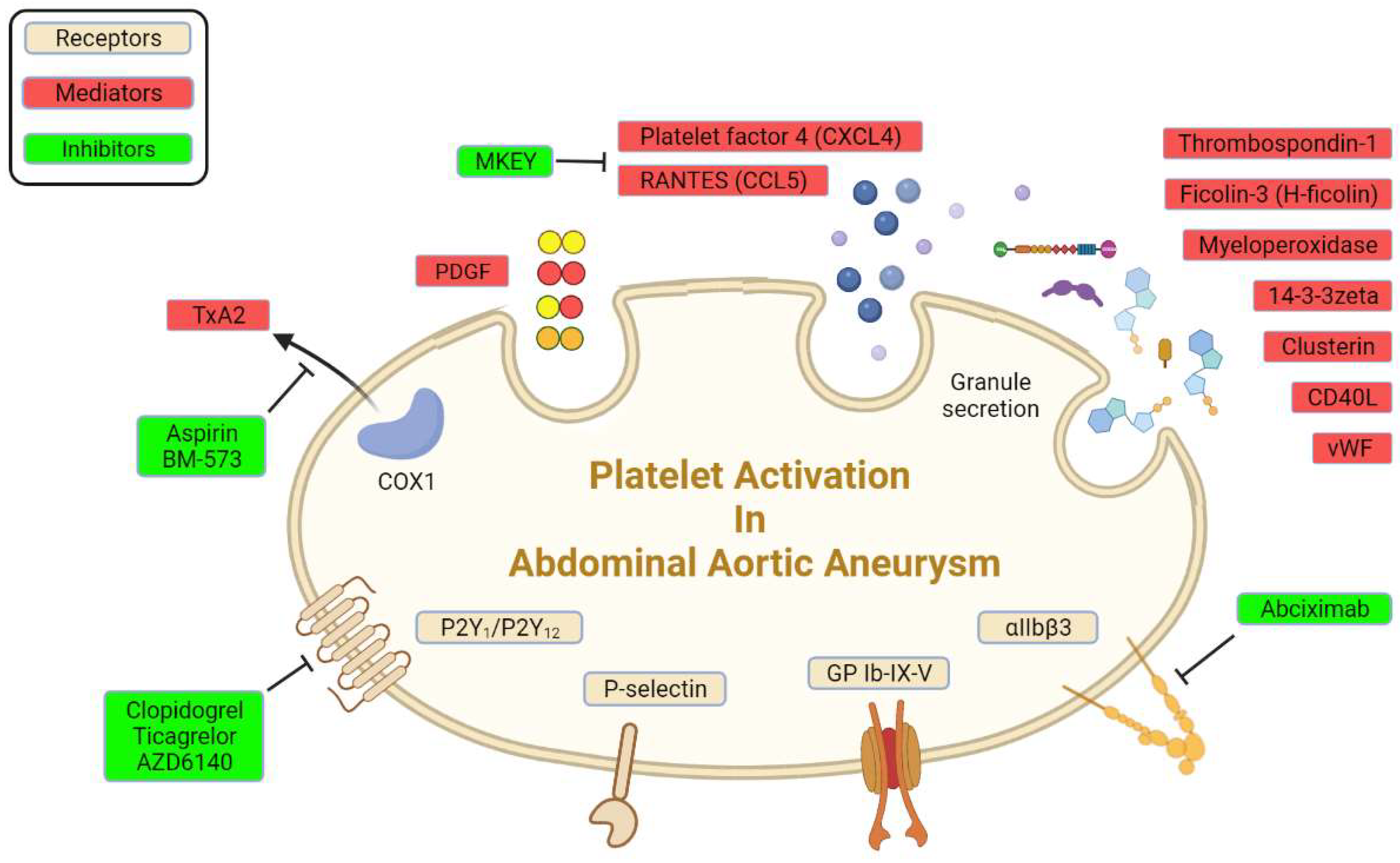 Biomolecules 12 00206 g001 Biomolecules 12 00206 g001