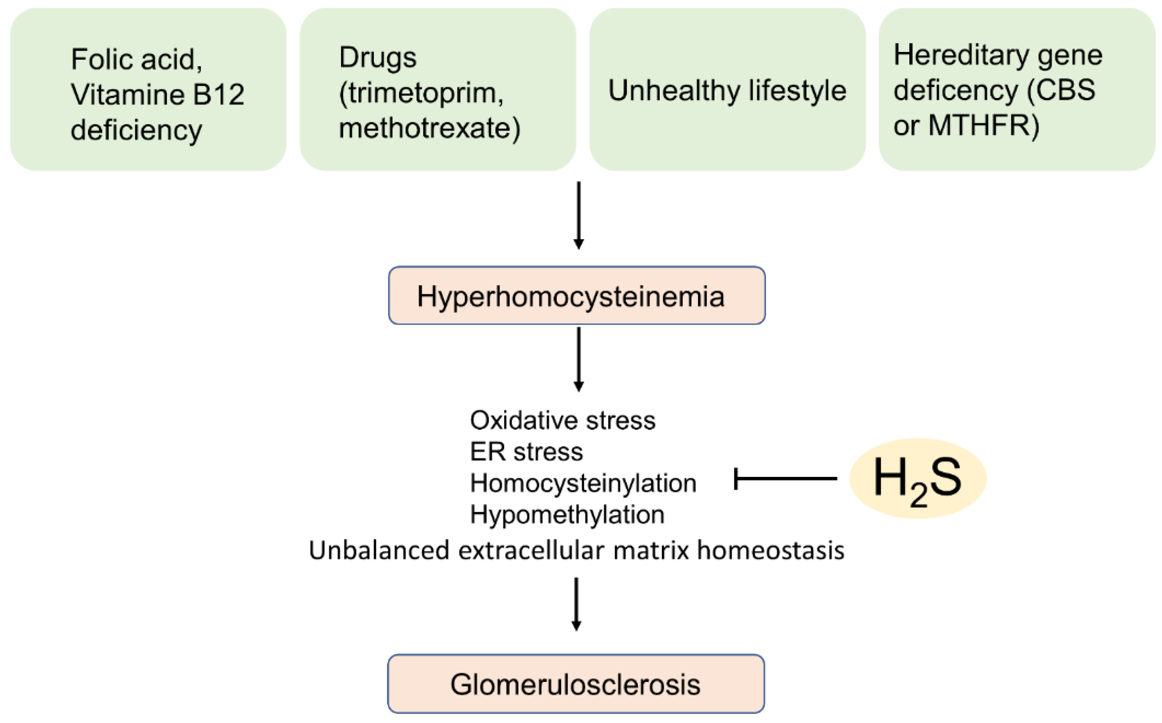 Biomolecules 12 00207 g004 550