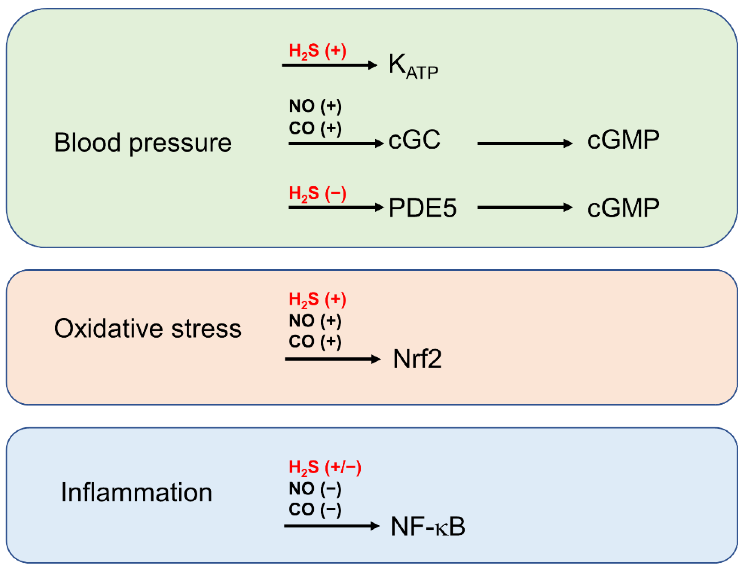 Biomolecules 12 00207 g005 550