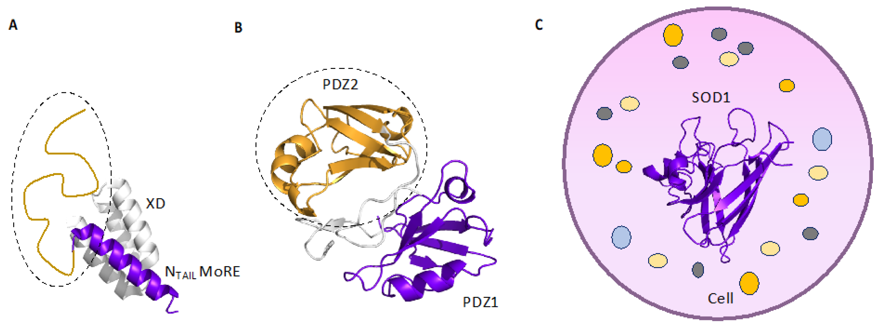 Biomolecules 12 00209 g001
