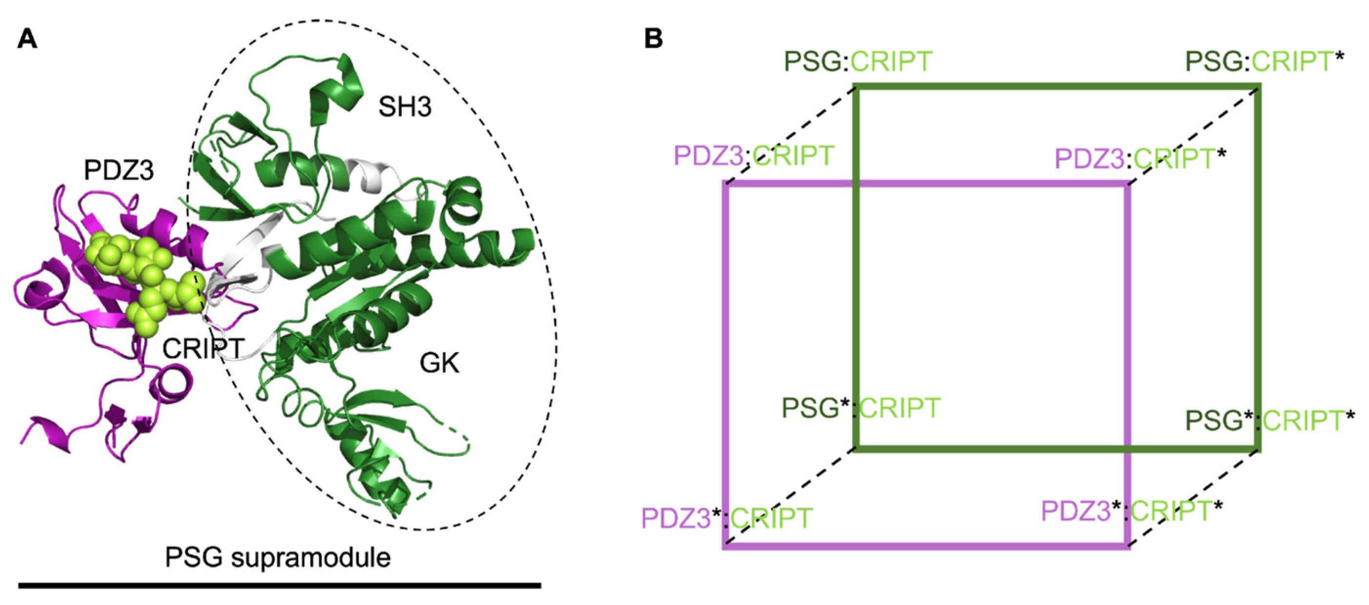 Biomolecules 12 00209 g002